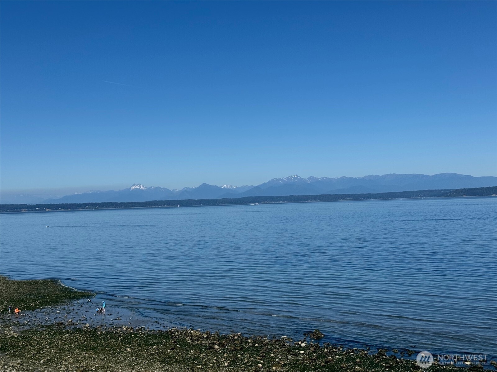 Carkeek Park Features Puget Sound Beaches & Olympic Mtn Views