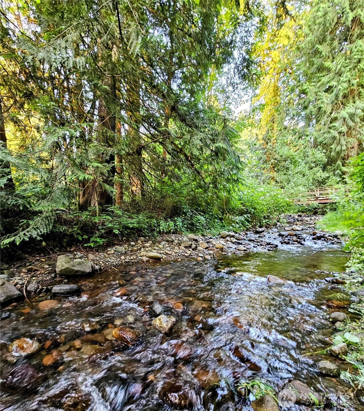 Embrace the tranquility of your own private creek, nestled on nearly 2 acres of endless possibilities. This peaceful retreat offers the perfect blend of natural beauty and potential—your dream lifestyle starts here.