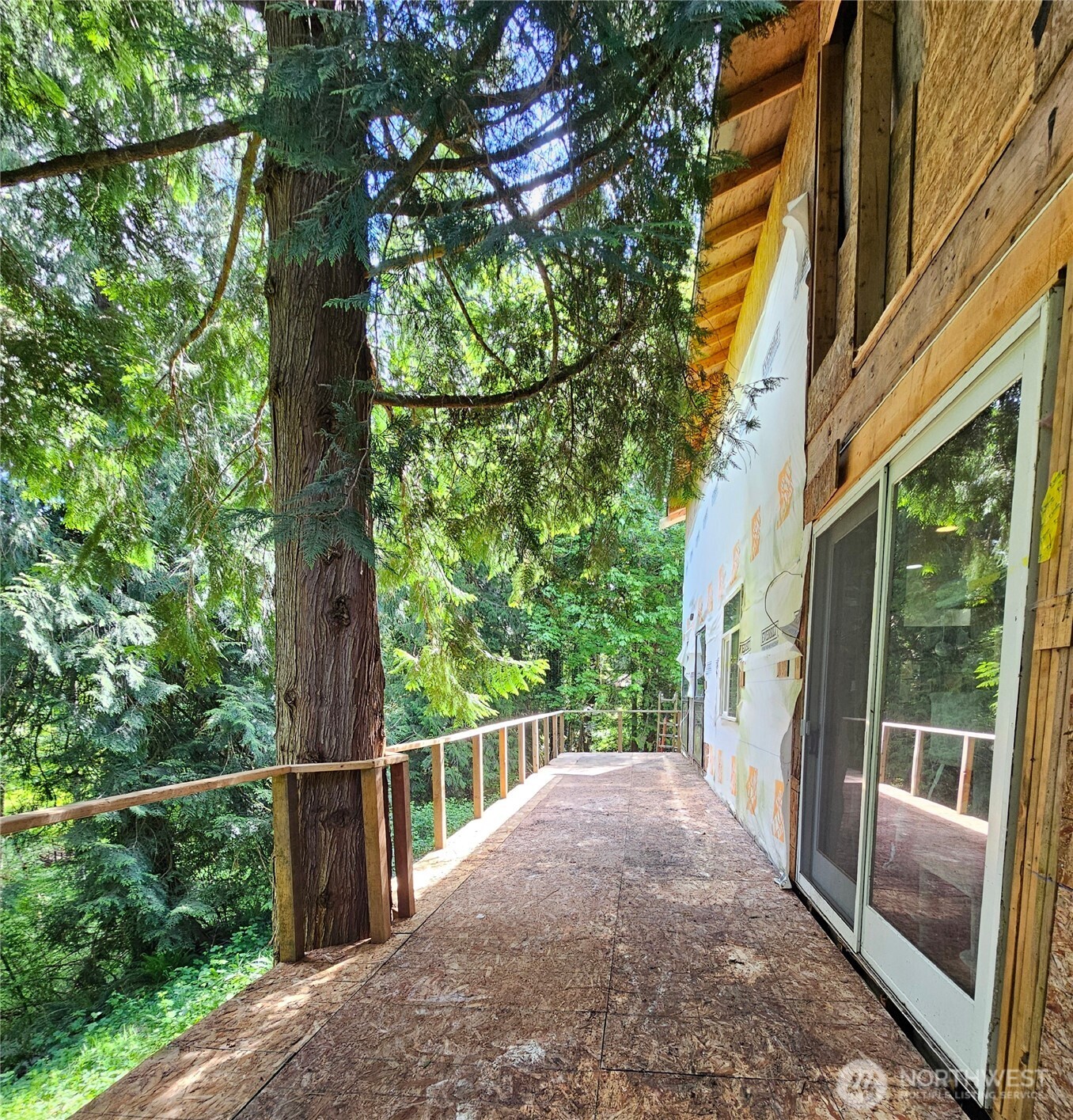 Back area of property next to the creek