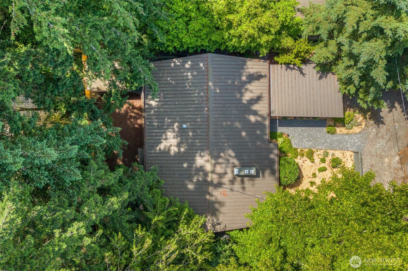 Nestled in the Trees