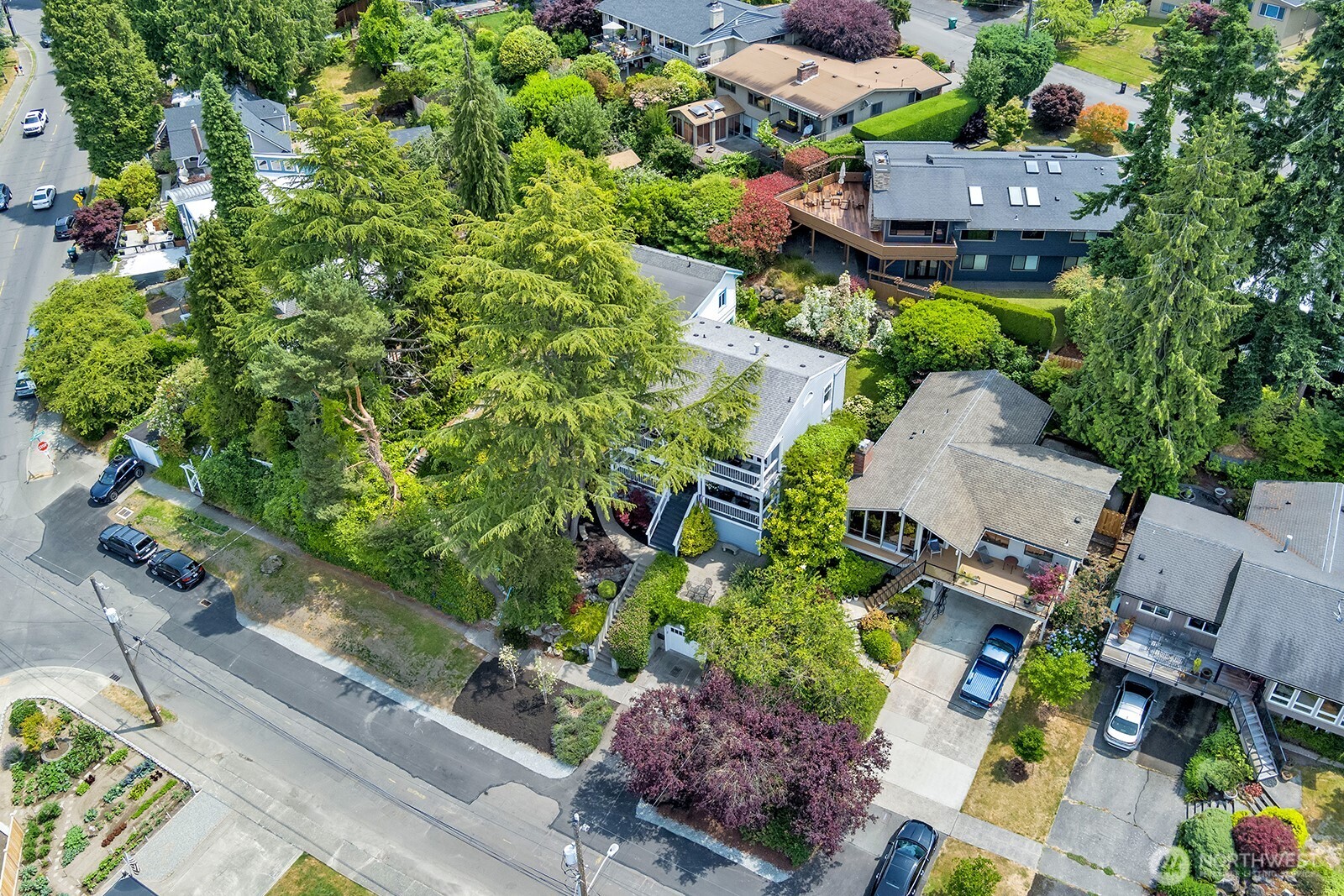 Aerial view looking towards Lincoln Park