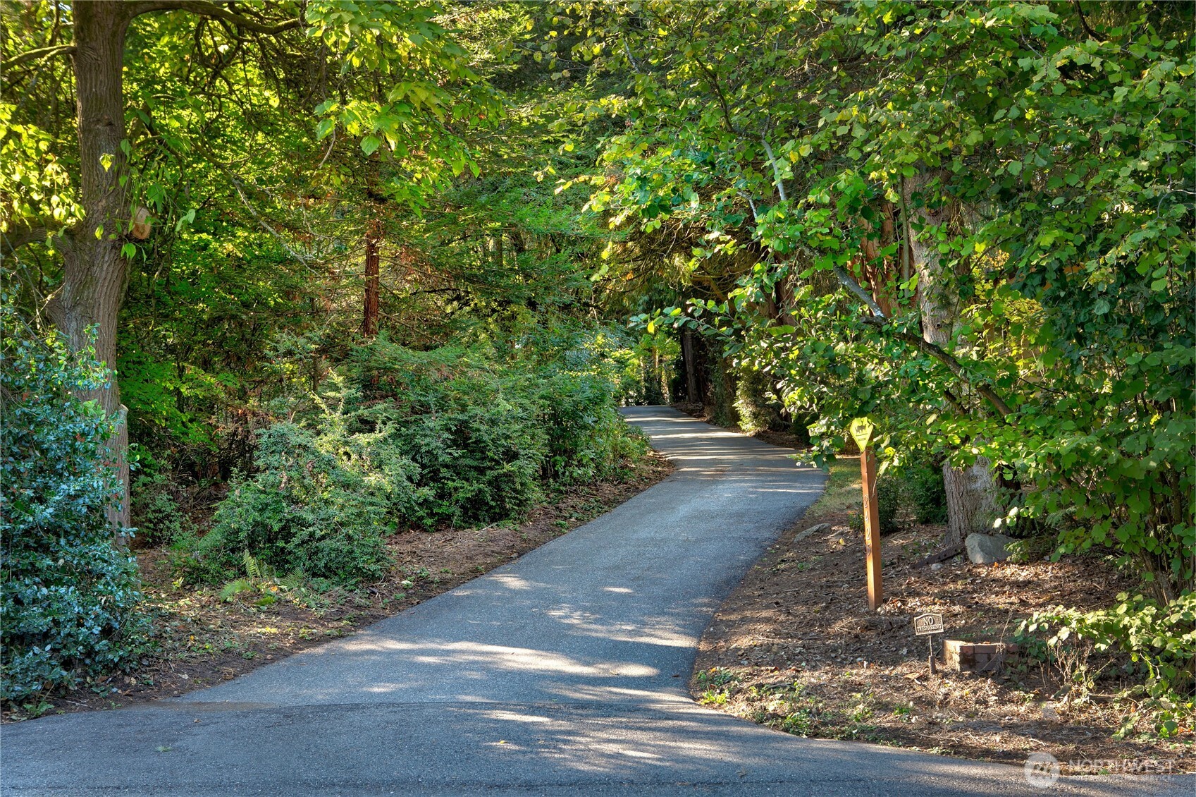 This winding private drive meanders through a canopy of mature maples, firs, and evergreens, offering an enchanting approach to the estate. Dappled sunlight filters through the trees, creating a peaceful, shaded corridor that feels a world apart—setting the tone for a property defined by natural beauty, privacy, and timeless Pacific Northwest character.