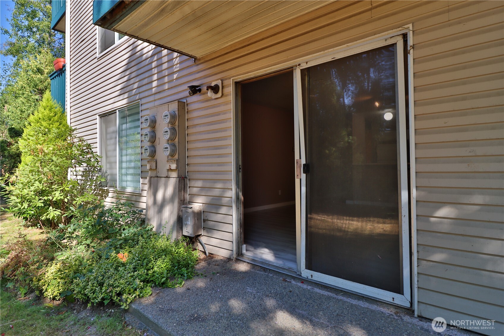 Out the back sliding door