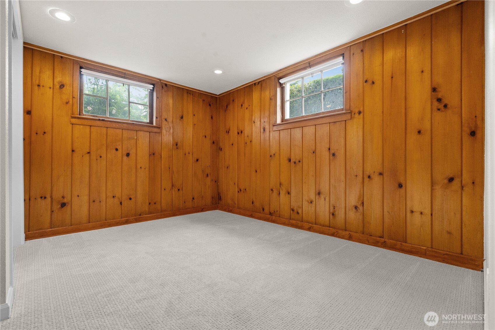 Lower level bedroom (or giant closet!)
