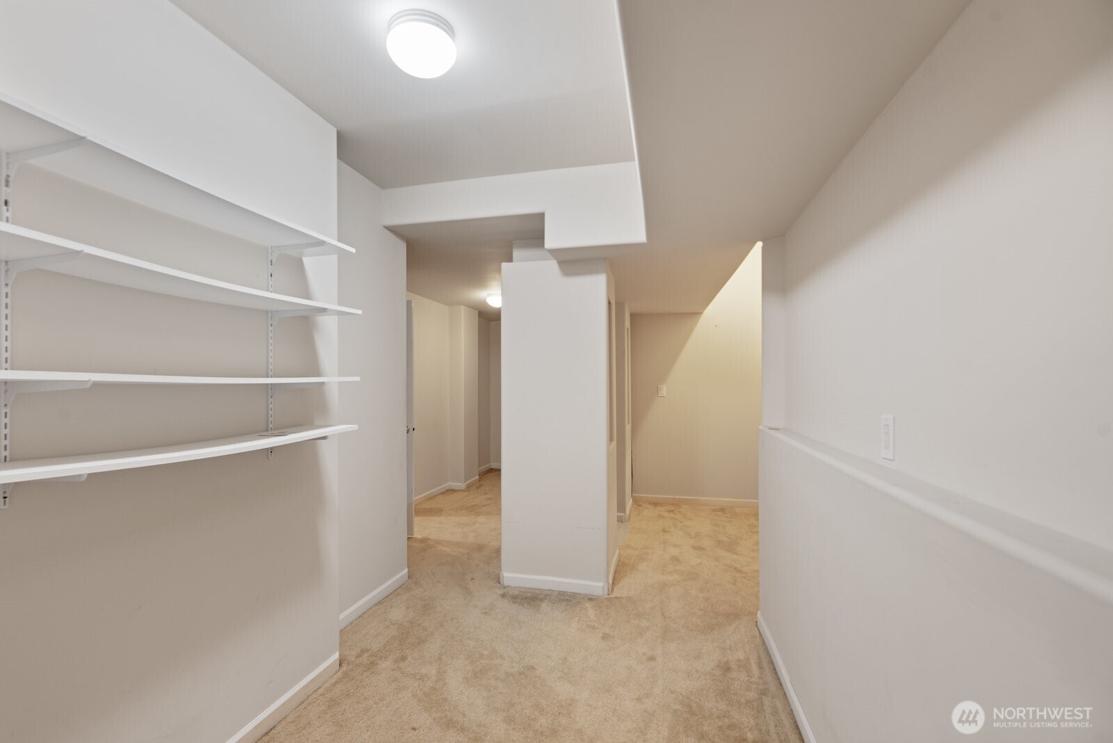 Extra Large Finished Storage in Basement