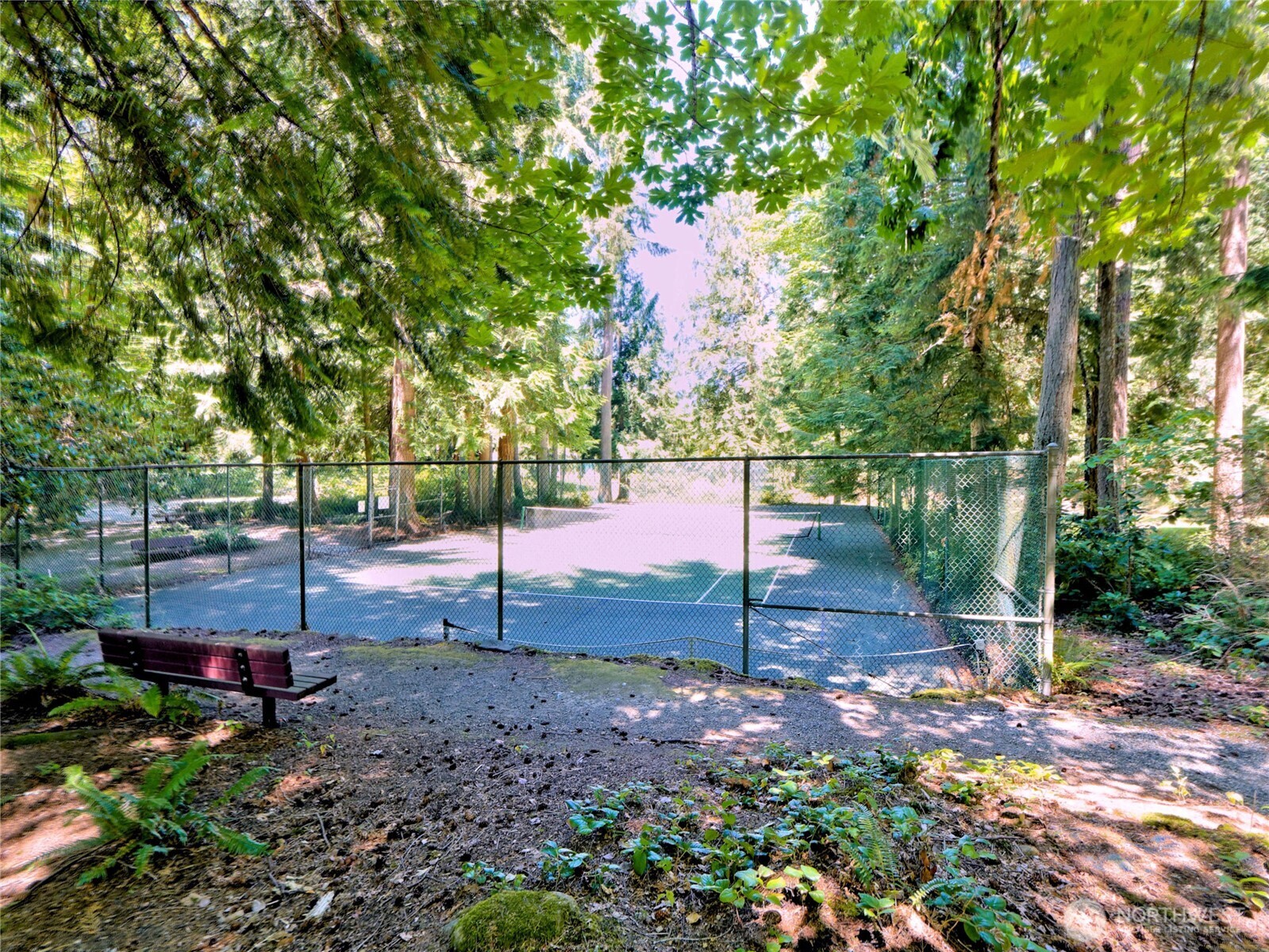 Athletic court in the Community park.