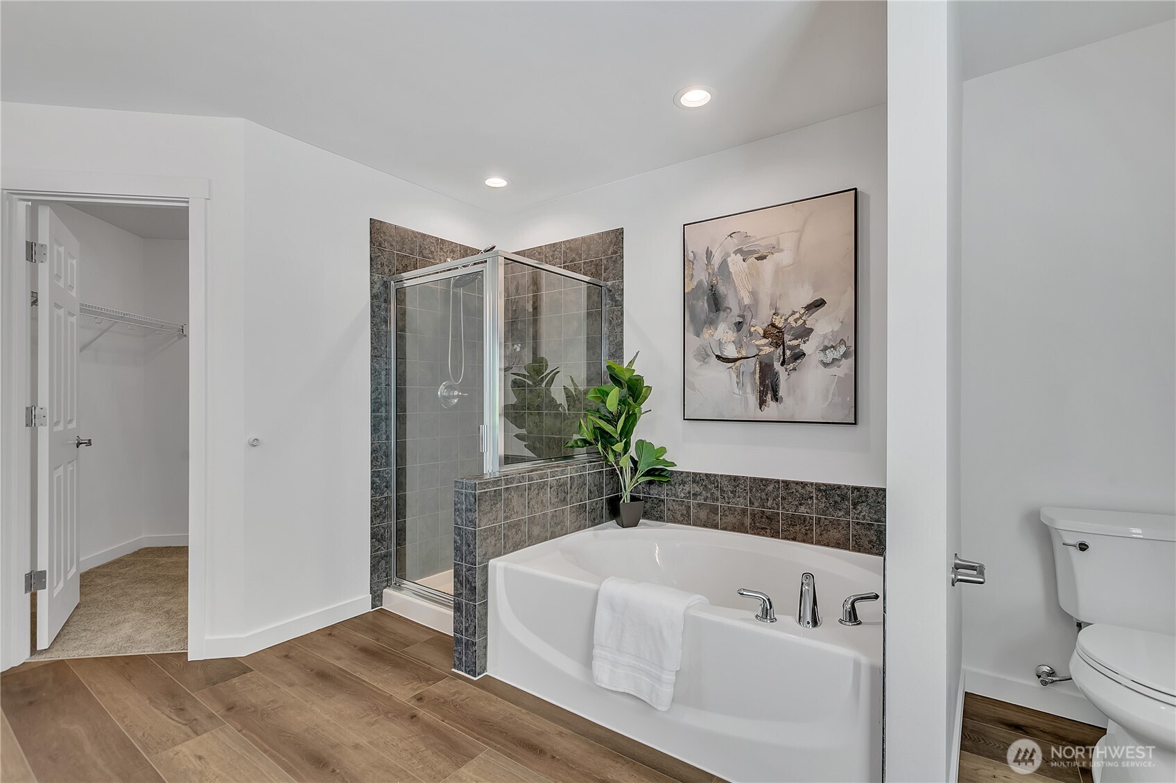 Primary Bath/Shower/Walk-in Closet