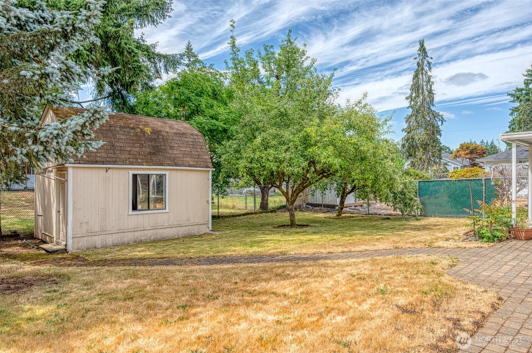2 Beautiful apple trees that produce lots of red and green apples.