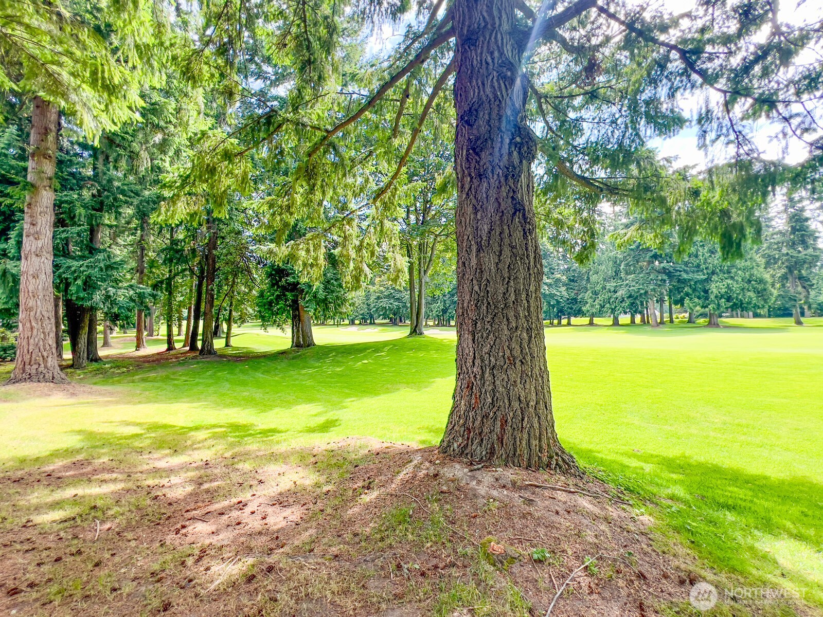 Sahalee Golf Course-6th fairway