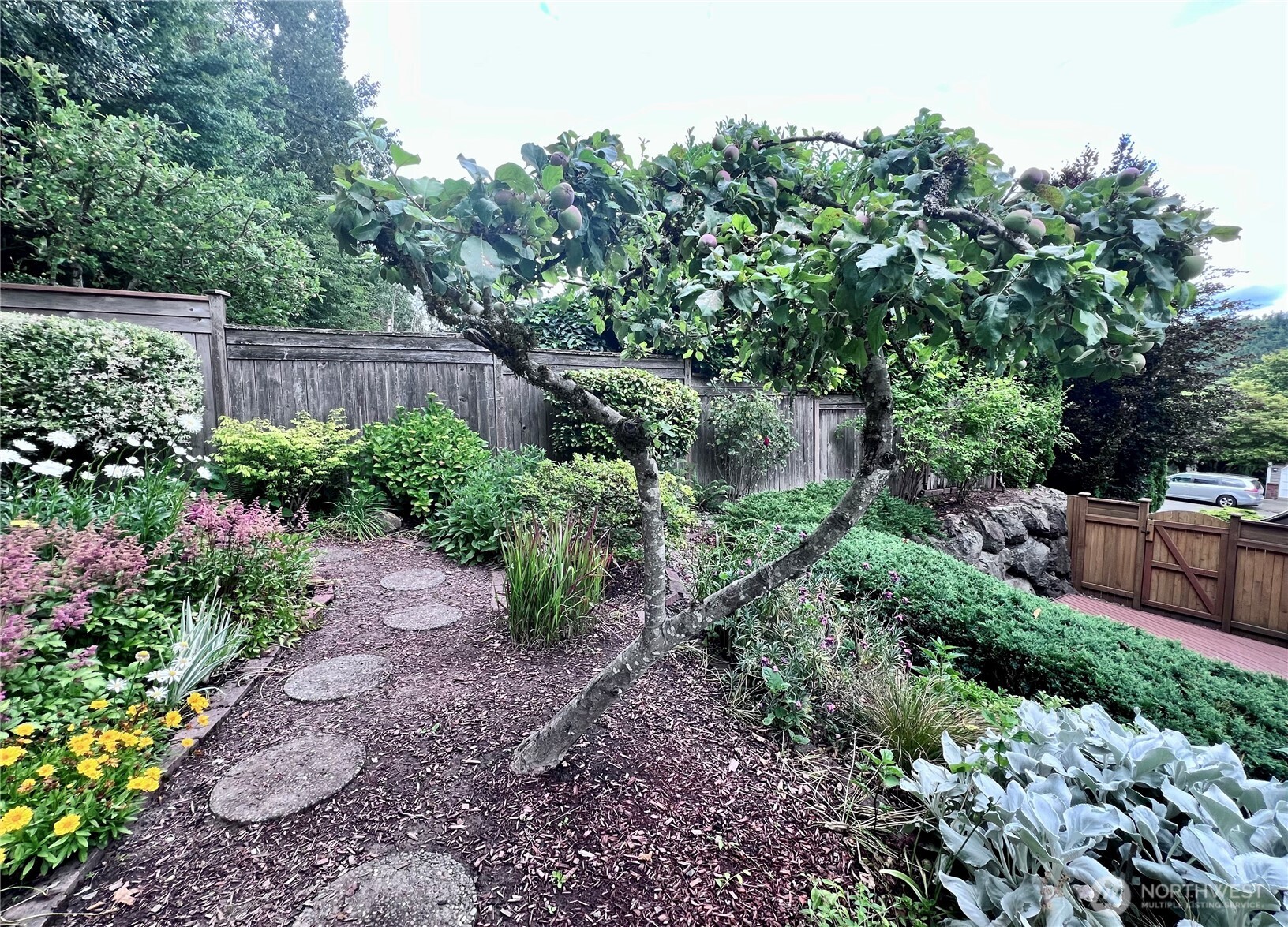 Mature fruit trees & plantings from first tier garden with paved walkway