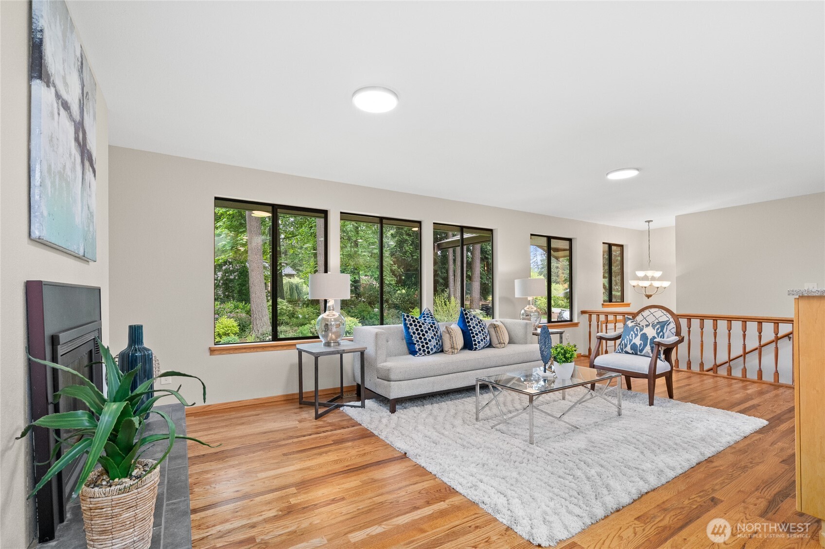 New windows bring all the sunlight indoors!
