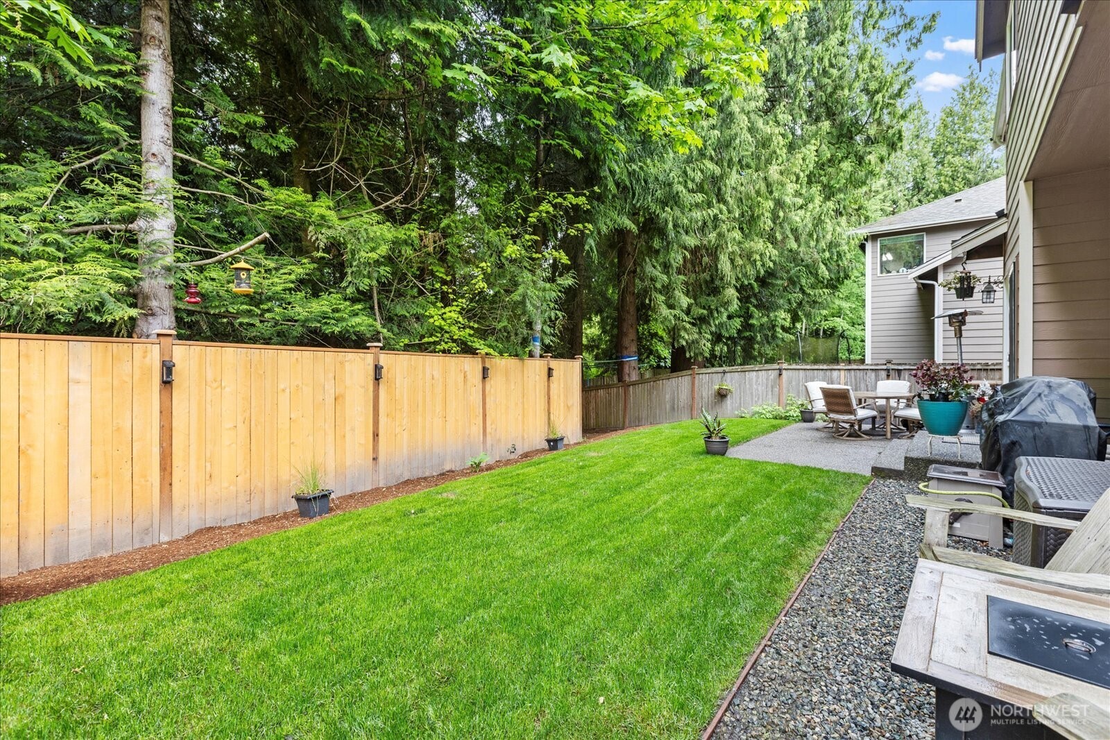 Trees provide a lush backdrop in the backyard.