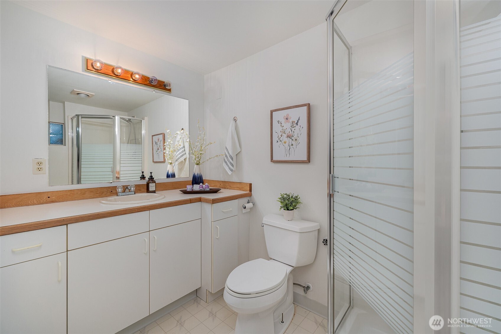Lower-level bathroom