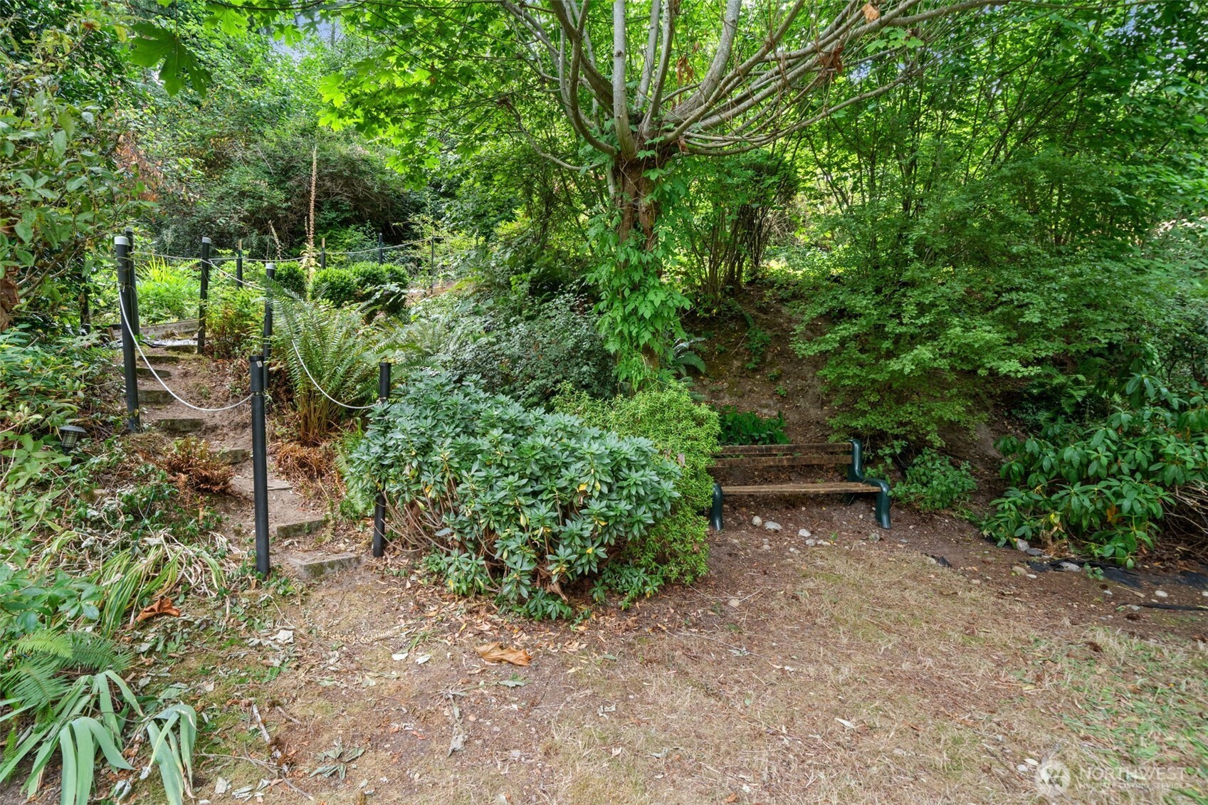 The backyard is a quiet respite - you would never guess you are just minutes from downtown Bellevue. It has that incredible old Bellevue feeling - untouched & green.