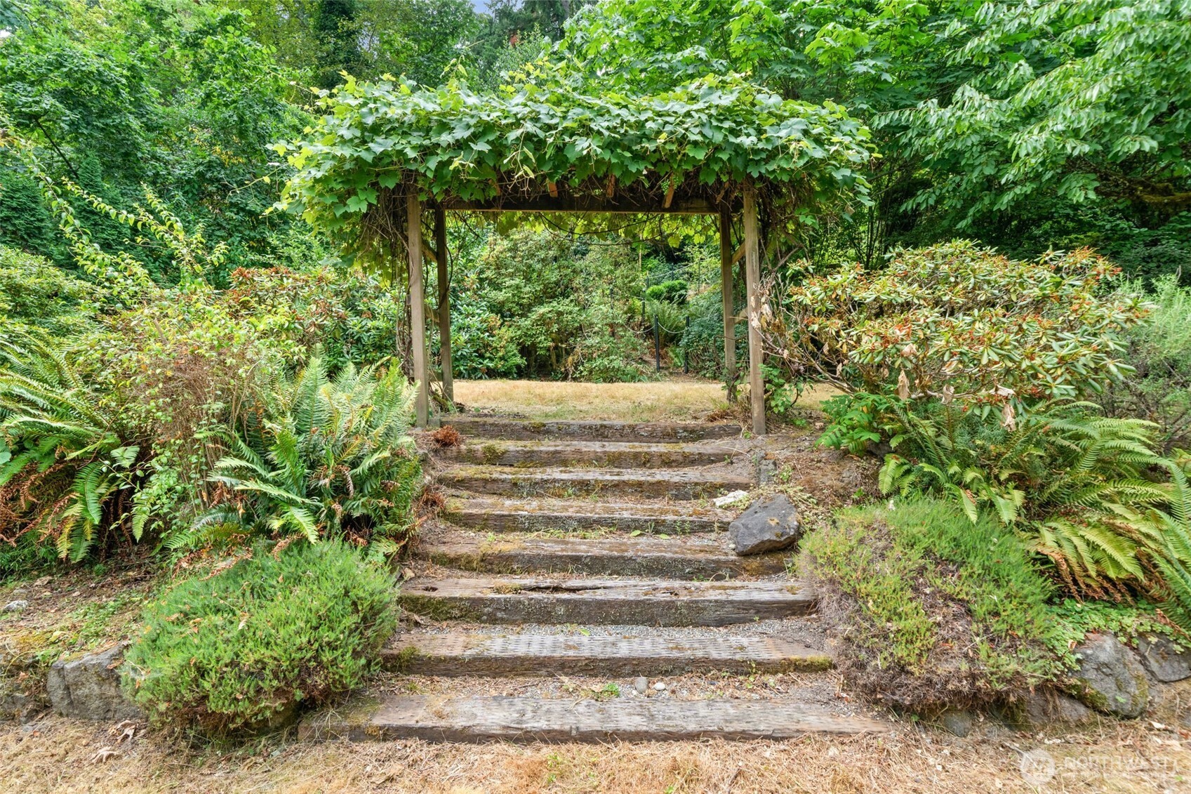 Grapevine arbor and stairs lead up to the rest of the large lot and backyard - so much potential. Older garden beds at the top!