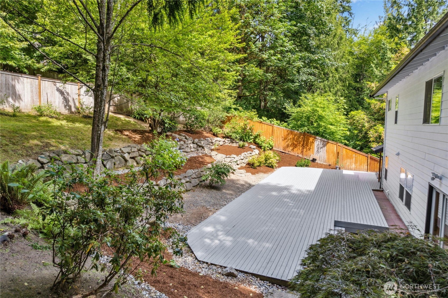 View of backyard