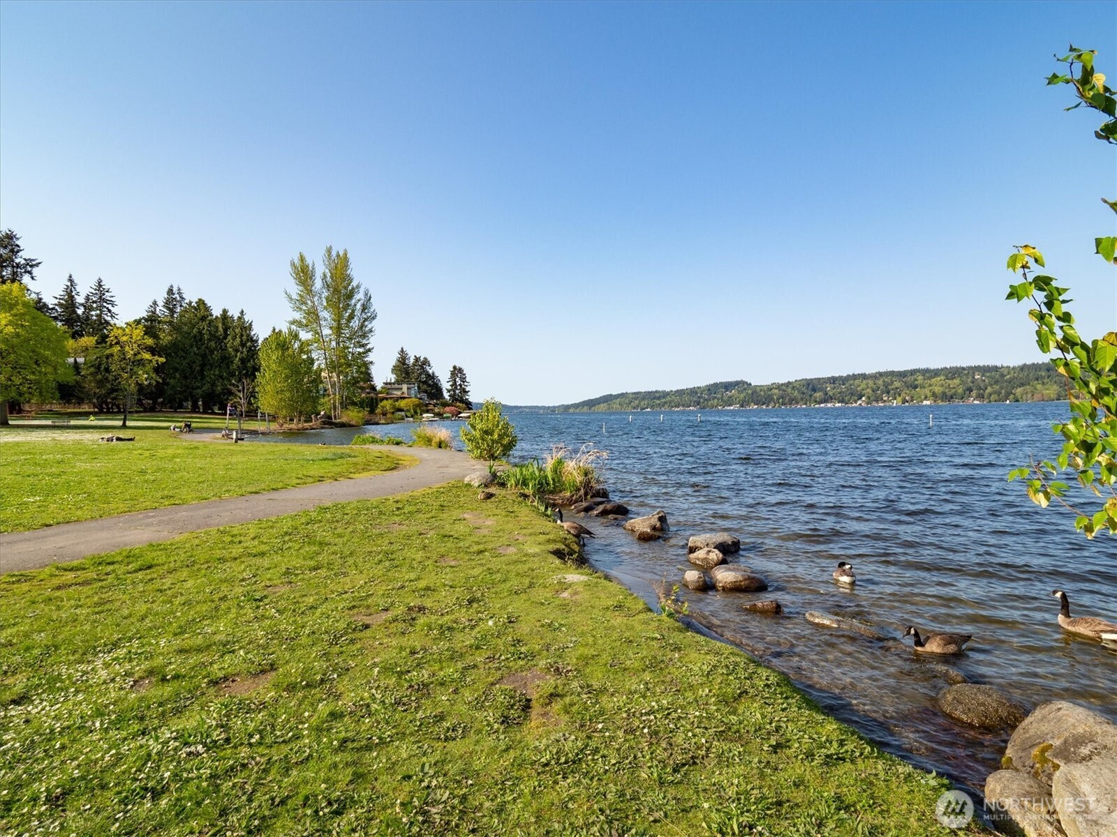 Matthews Beach is just around the corner and is ready for these hot Seattle days.