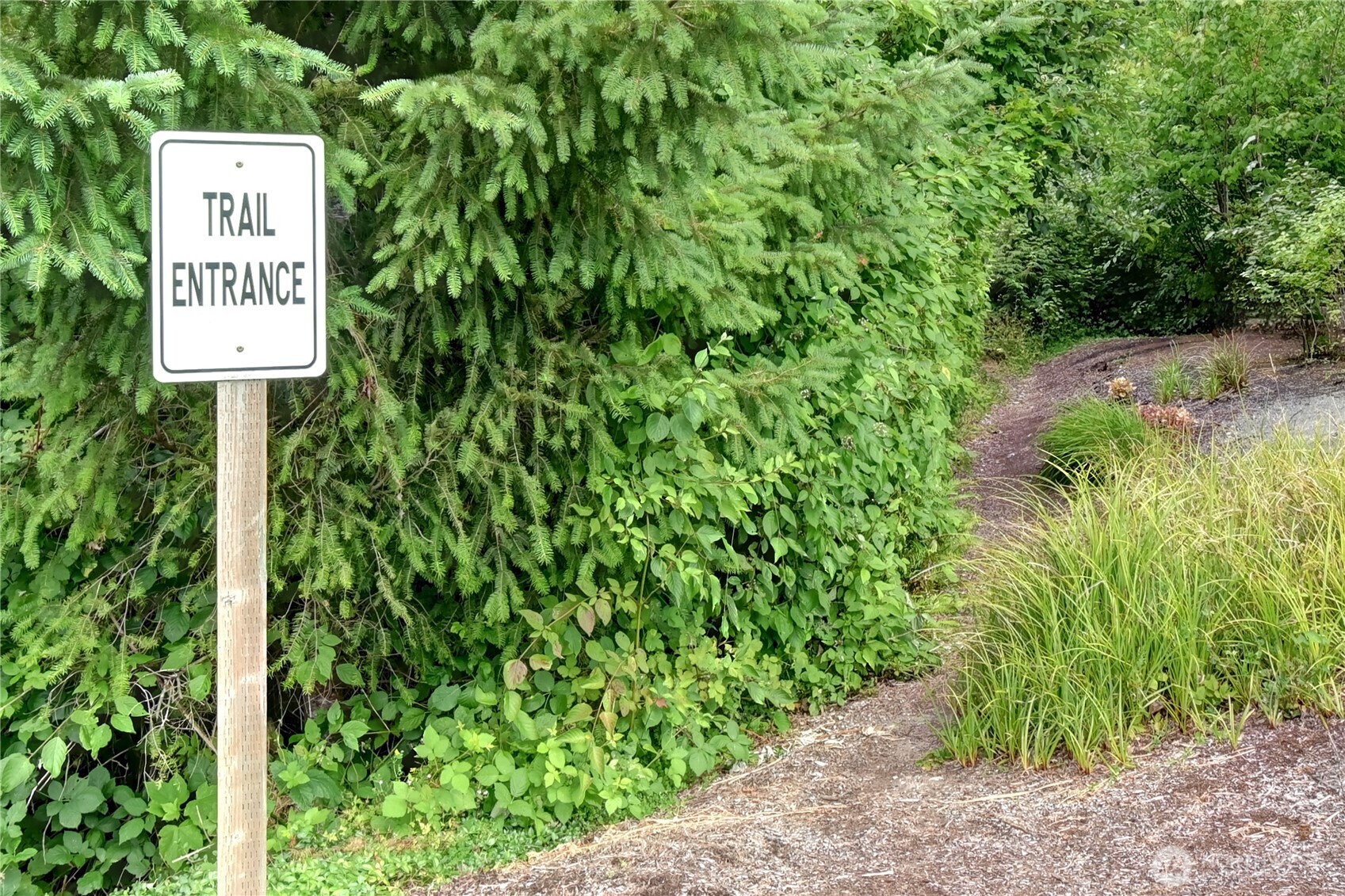 Walk in Nature Trails