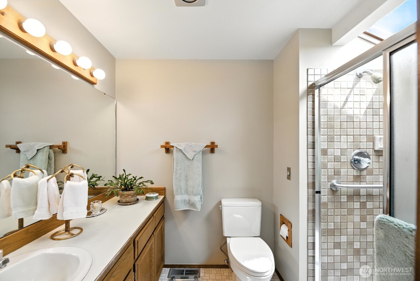 Primary bath with skylight and new toilet