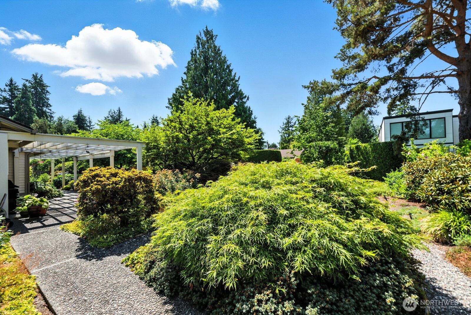 Wander the paths in the flower garden. Various types of Japanese maples.