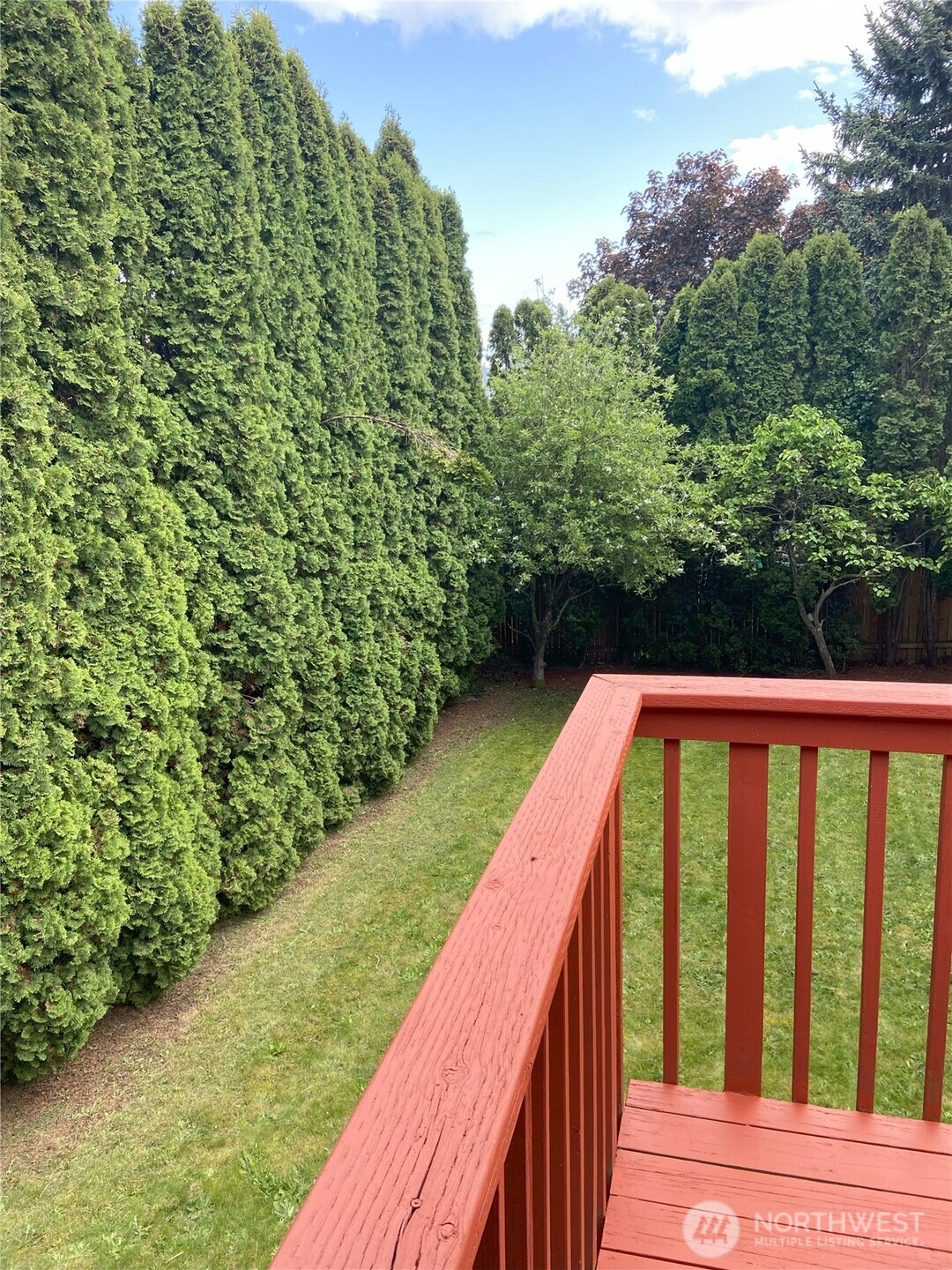 Look at those tall arborvides trees really creating a feeling of privacy and seclusion.