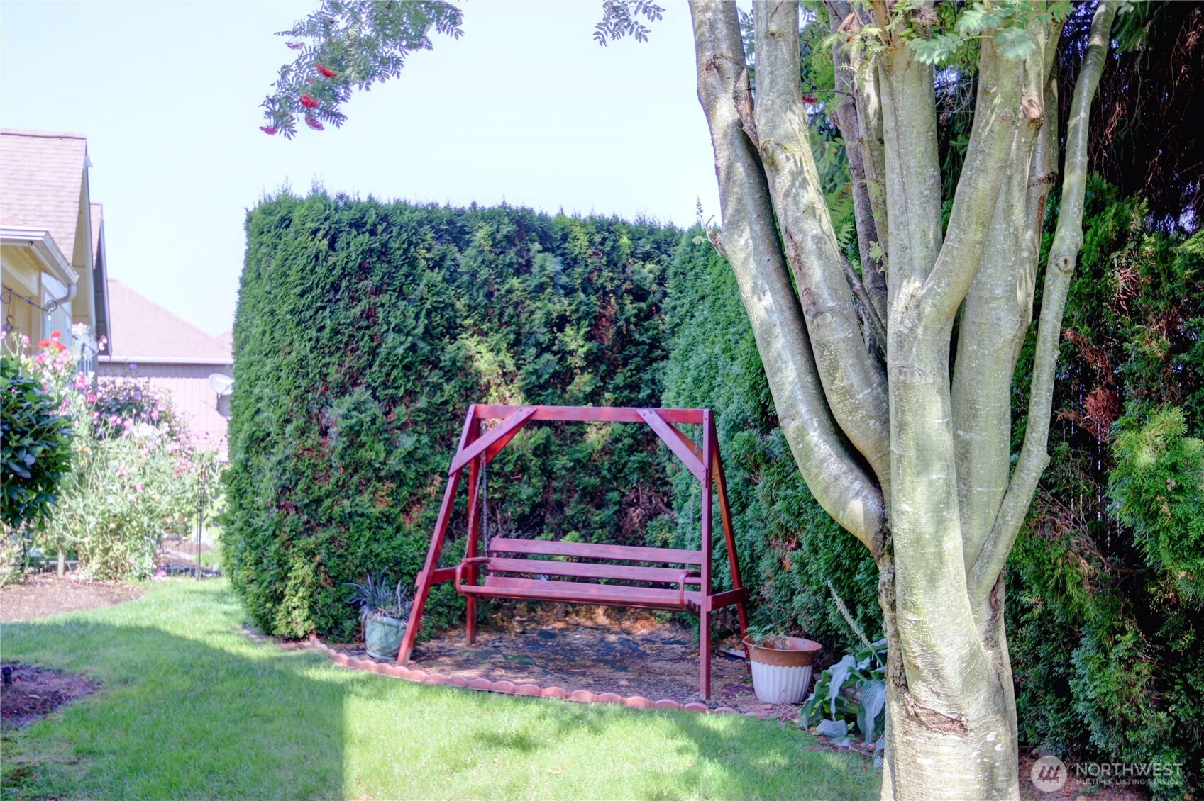 Back yard