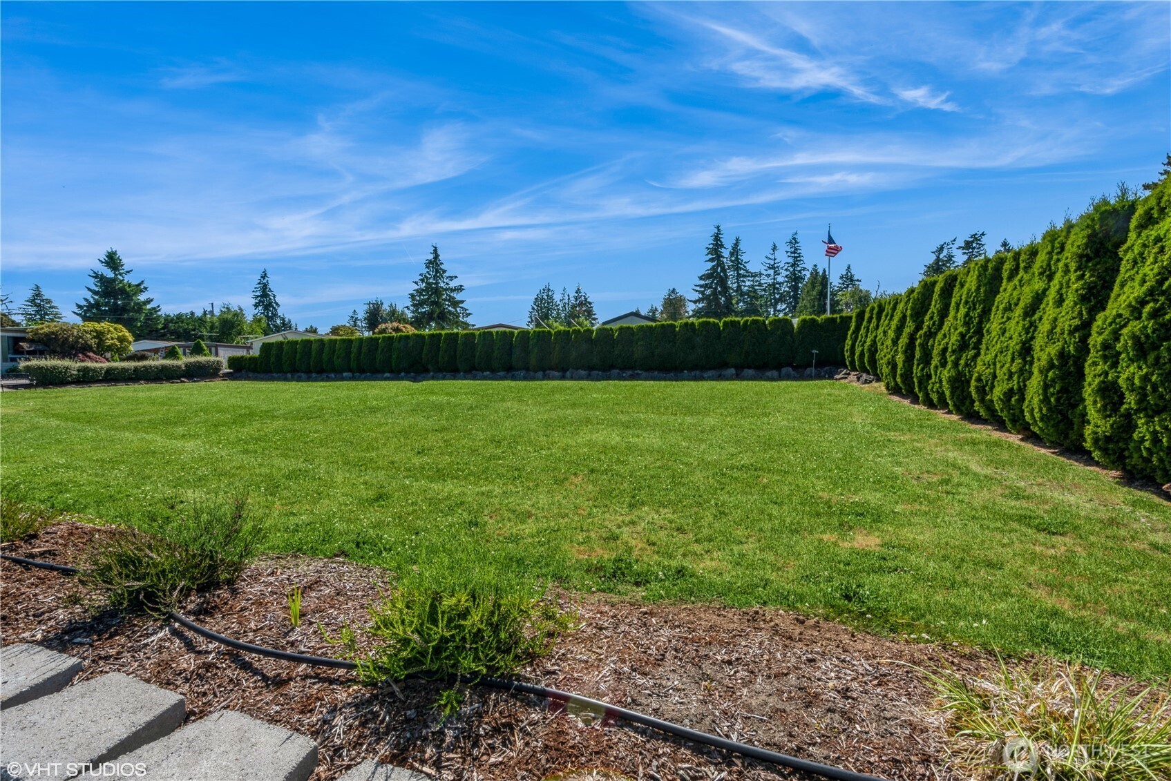 Outdoor greenery in outdoor common area