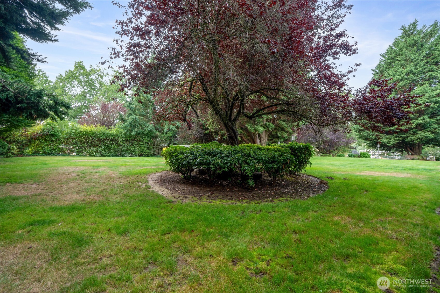 Nice grassy area right outside your patio door