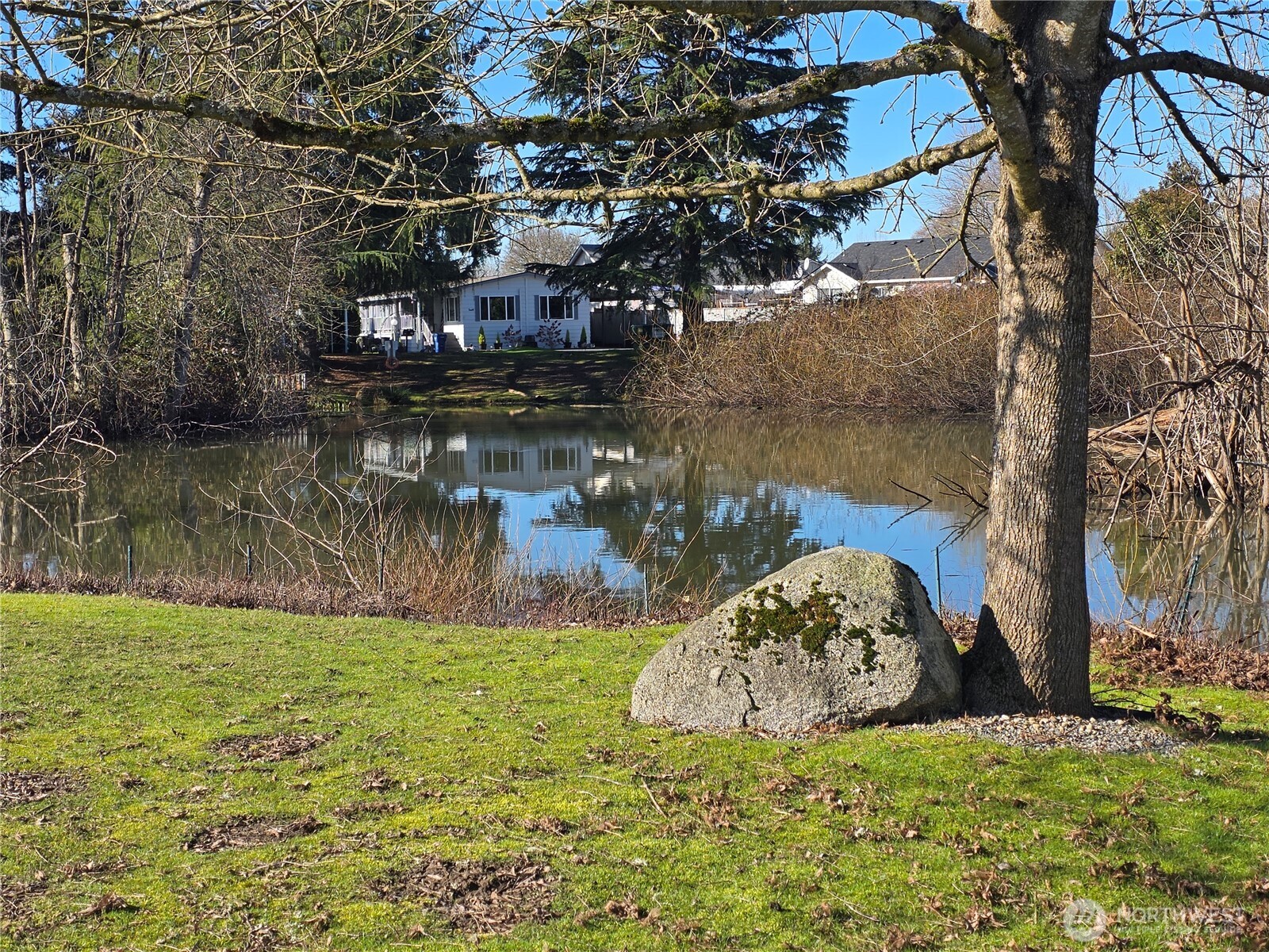 The birds were chirping!