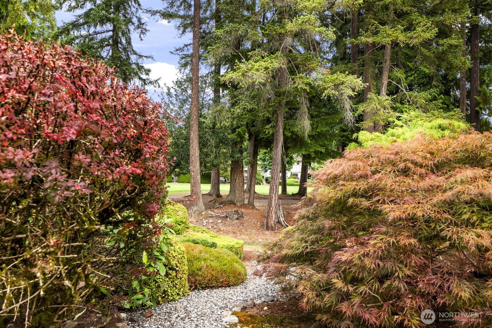 Trim or remove plantings if more golf course view is desired
