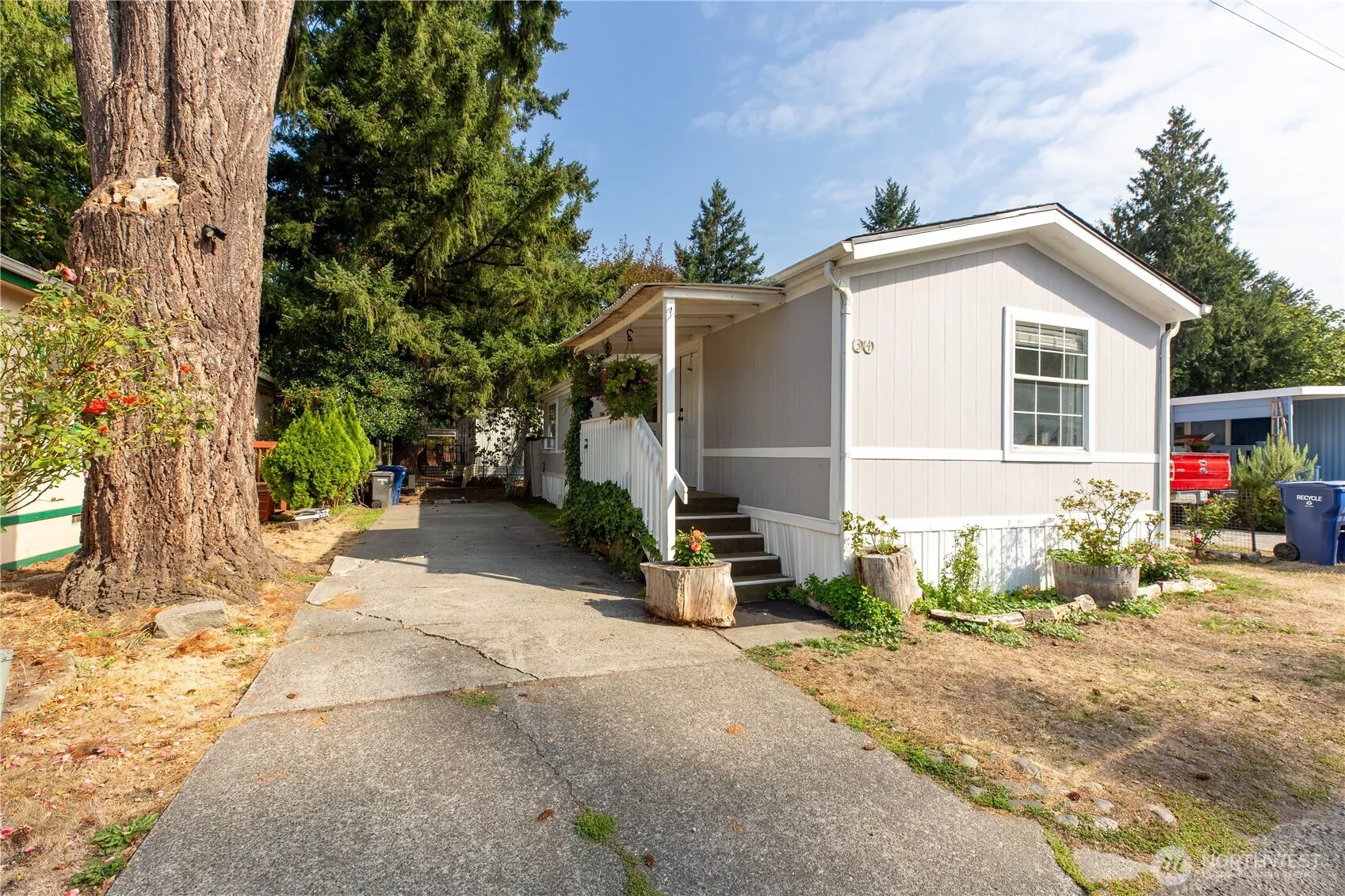 Drive Way and Front Side