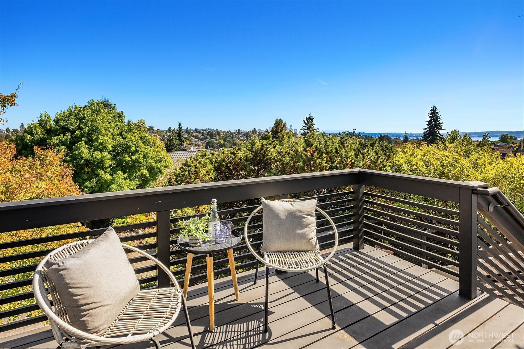 View stretching from the Space Needle to Mt. Rainier and the Sound