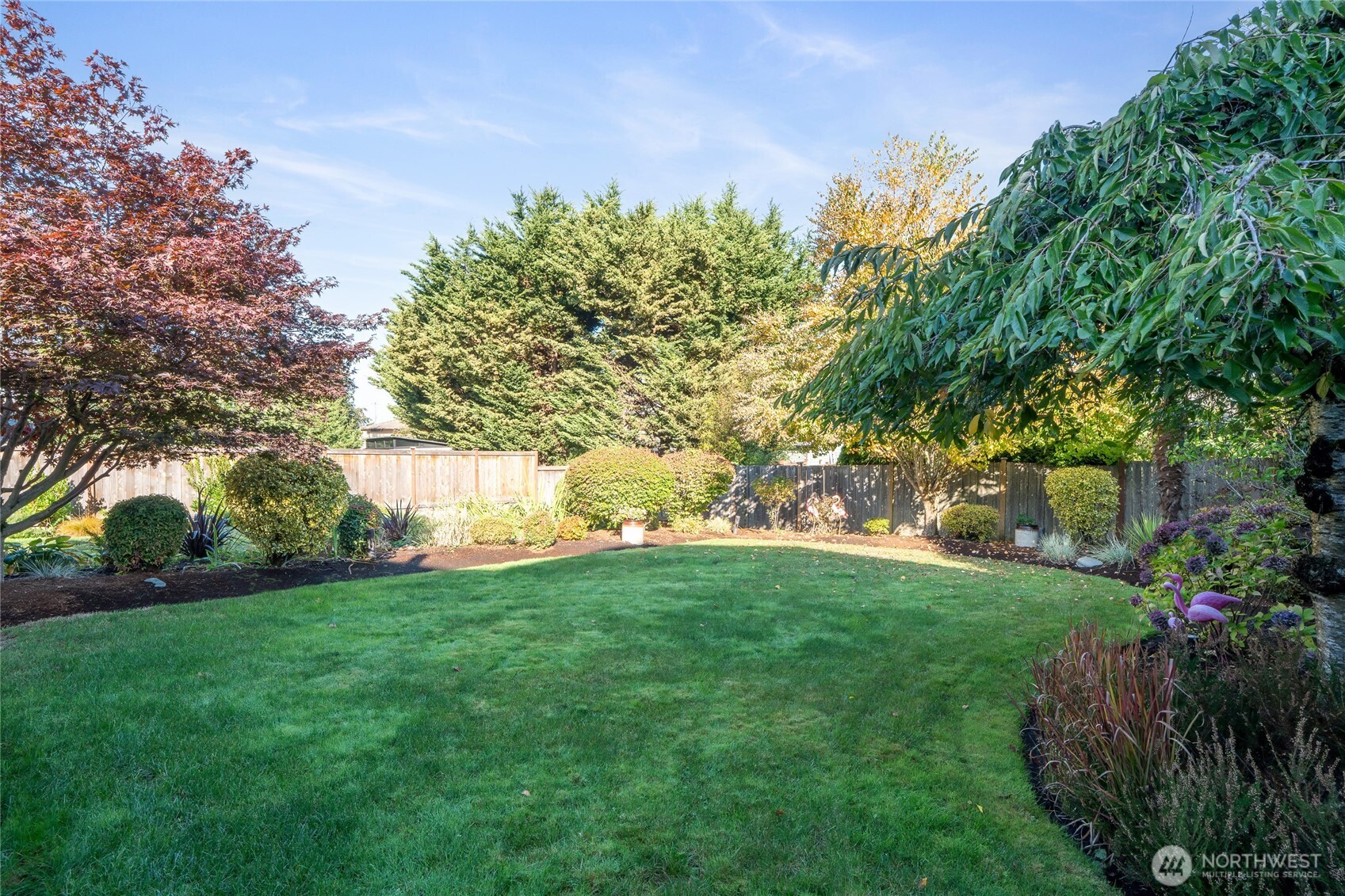 Well manicured backyard