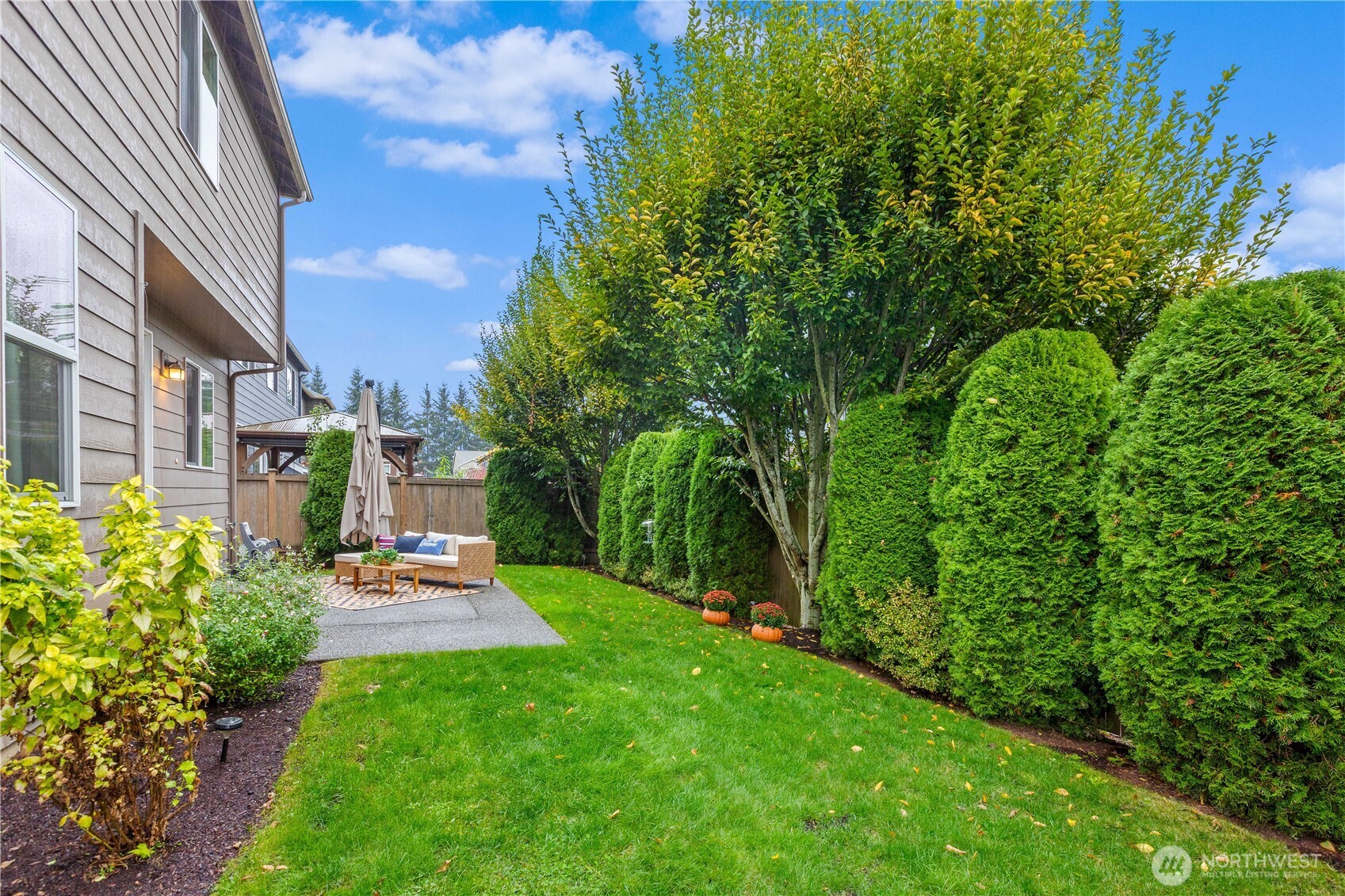 Expansive backyard with patio and mature landscaping
