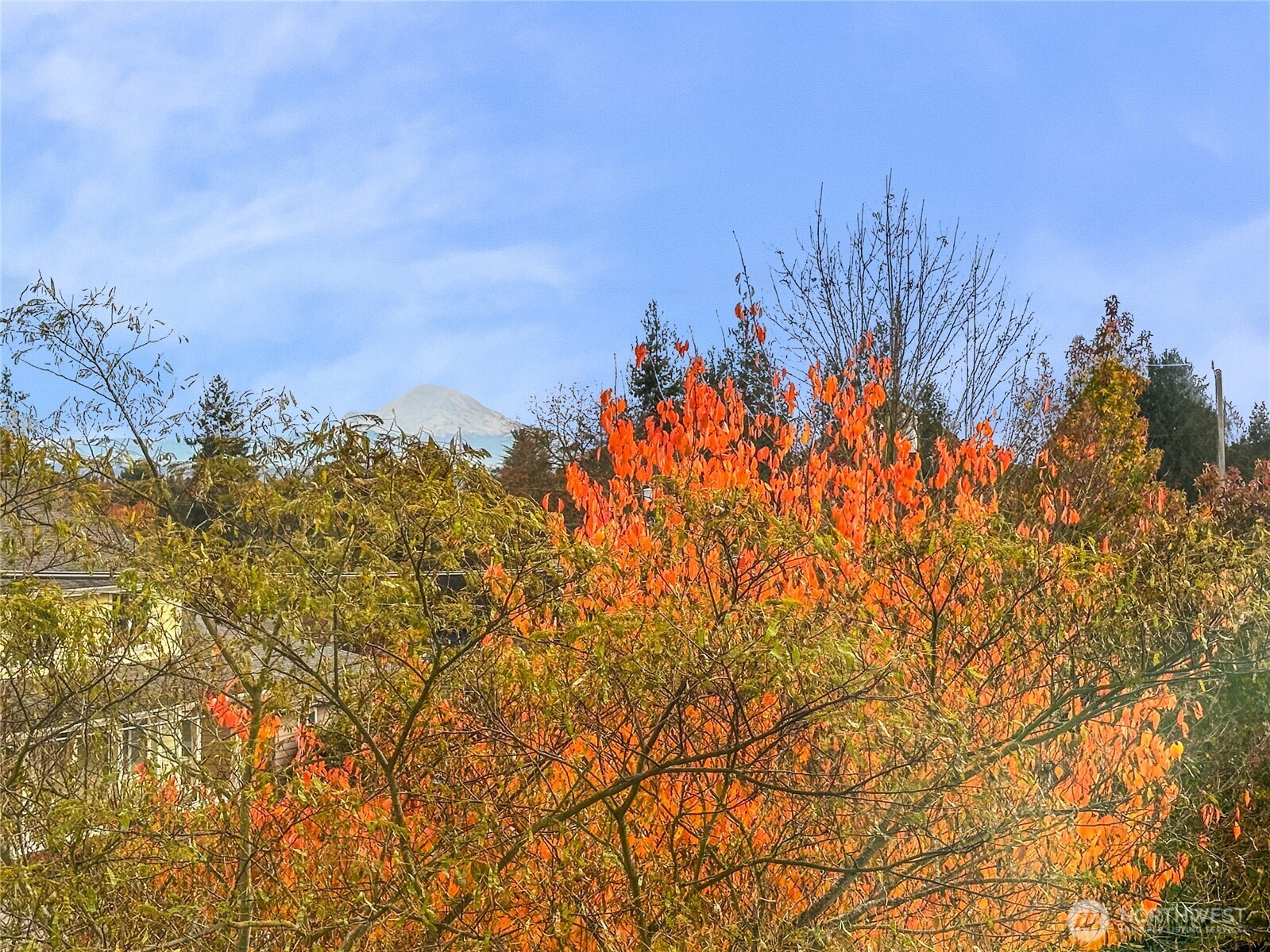 Home is close to Carkee Park and the Sound