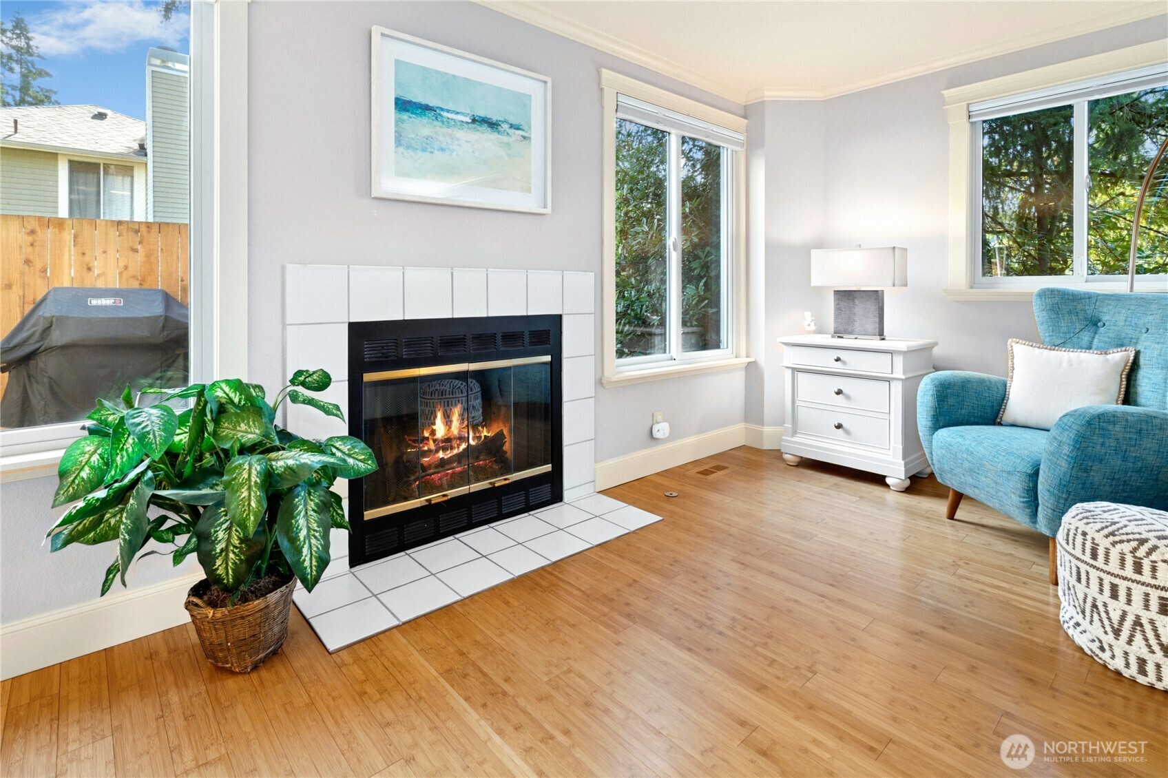 Gas Fireplace in Living Room