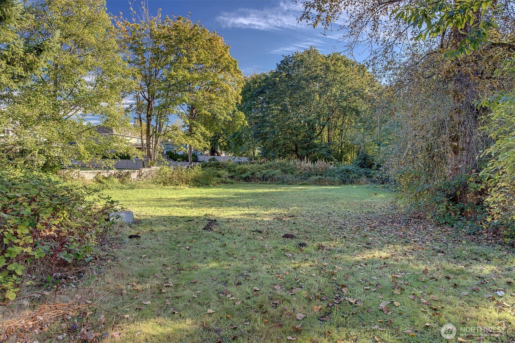 Very large flat yard