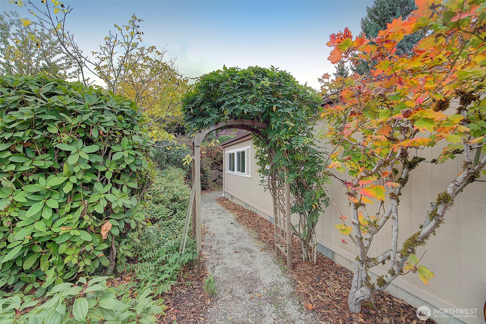 Side yard w/trellis & walnut tree