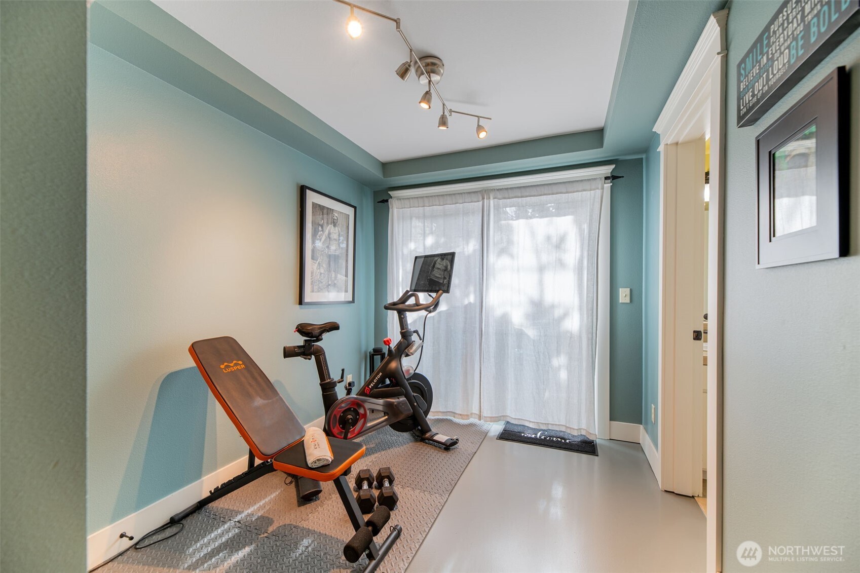 Lower level flex room- great for a gym or office
