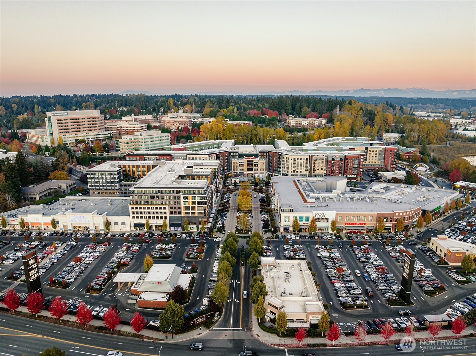 Totem Lake Shopping Center