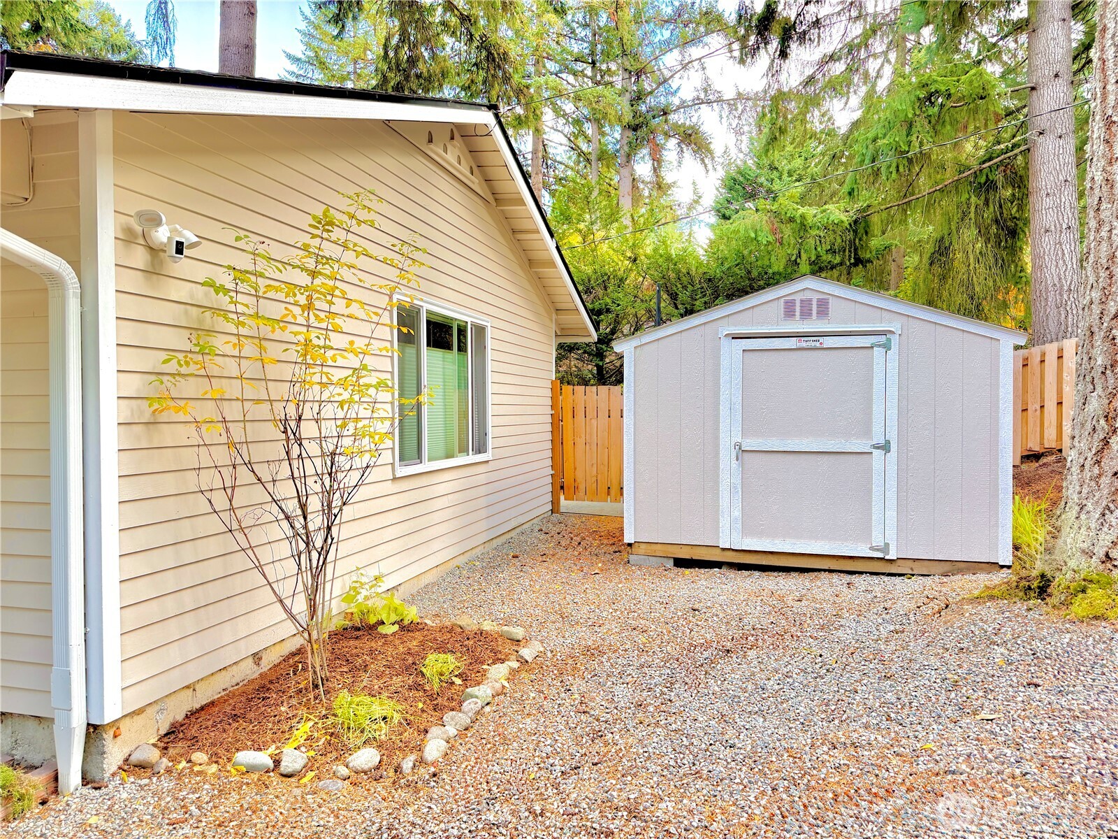 Shed