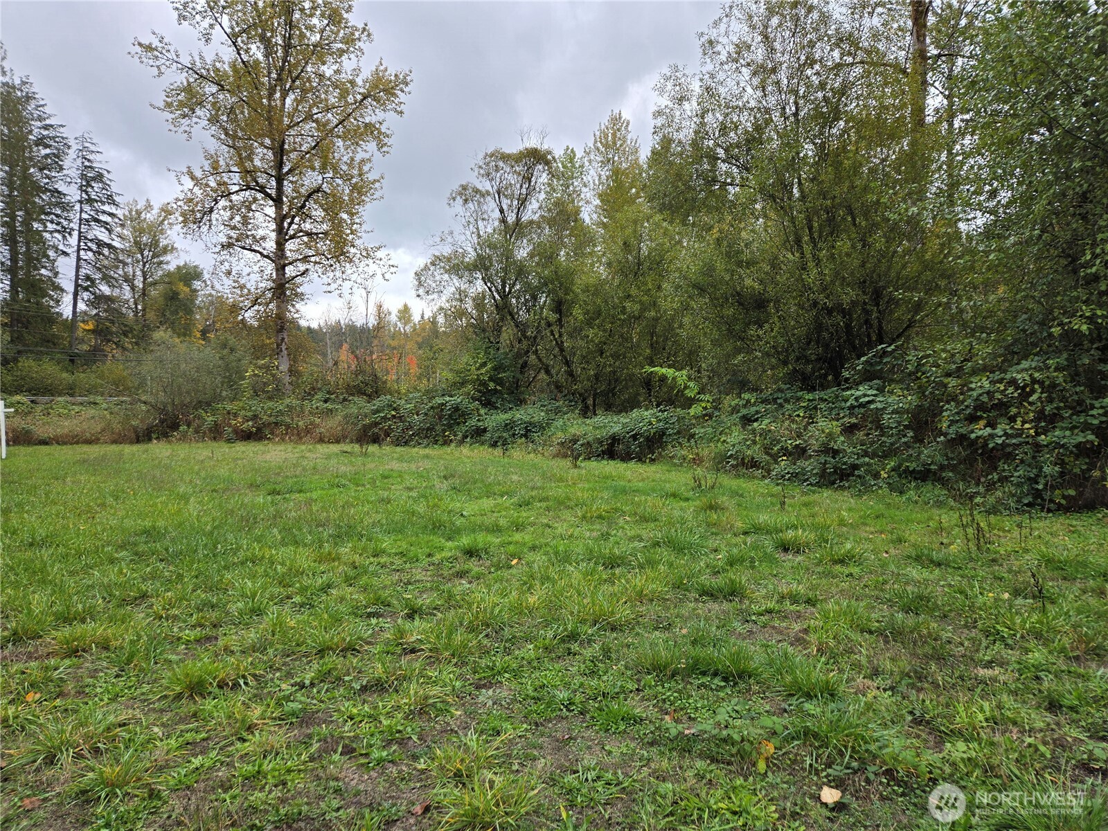 landscaping at the road.