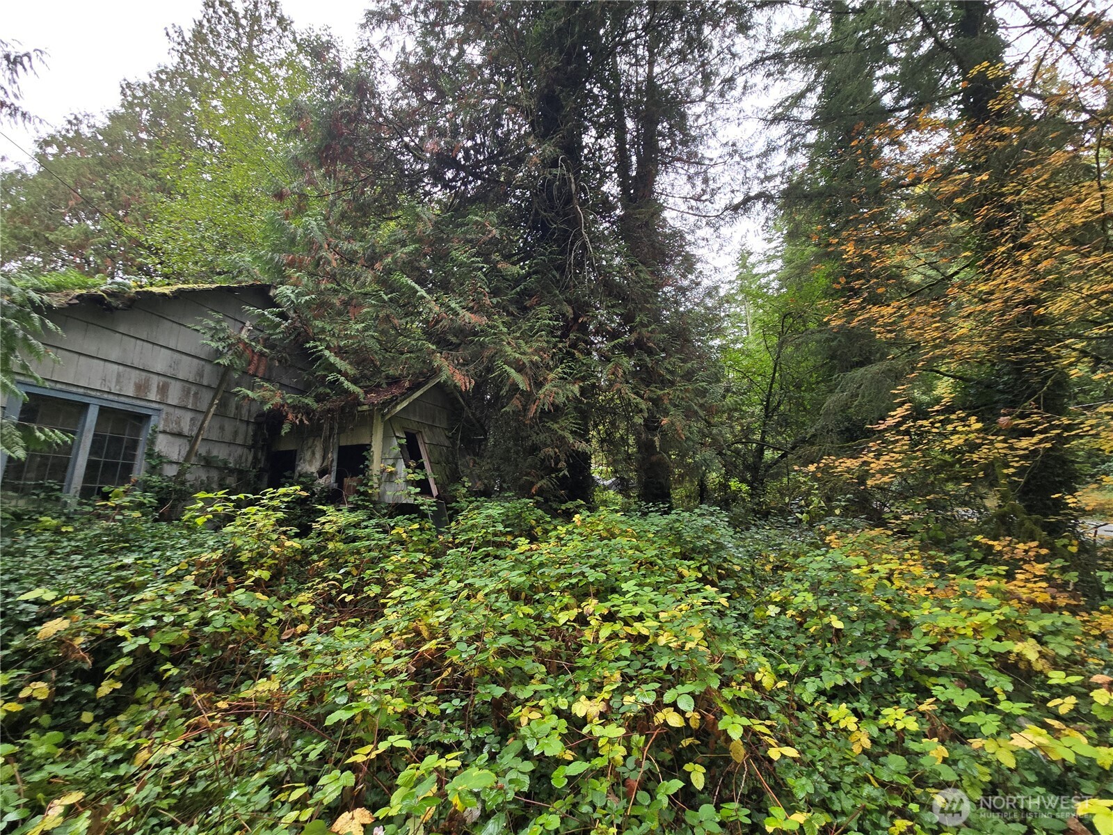 platform to use if you park an RV or 5th wheel next to it.