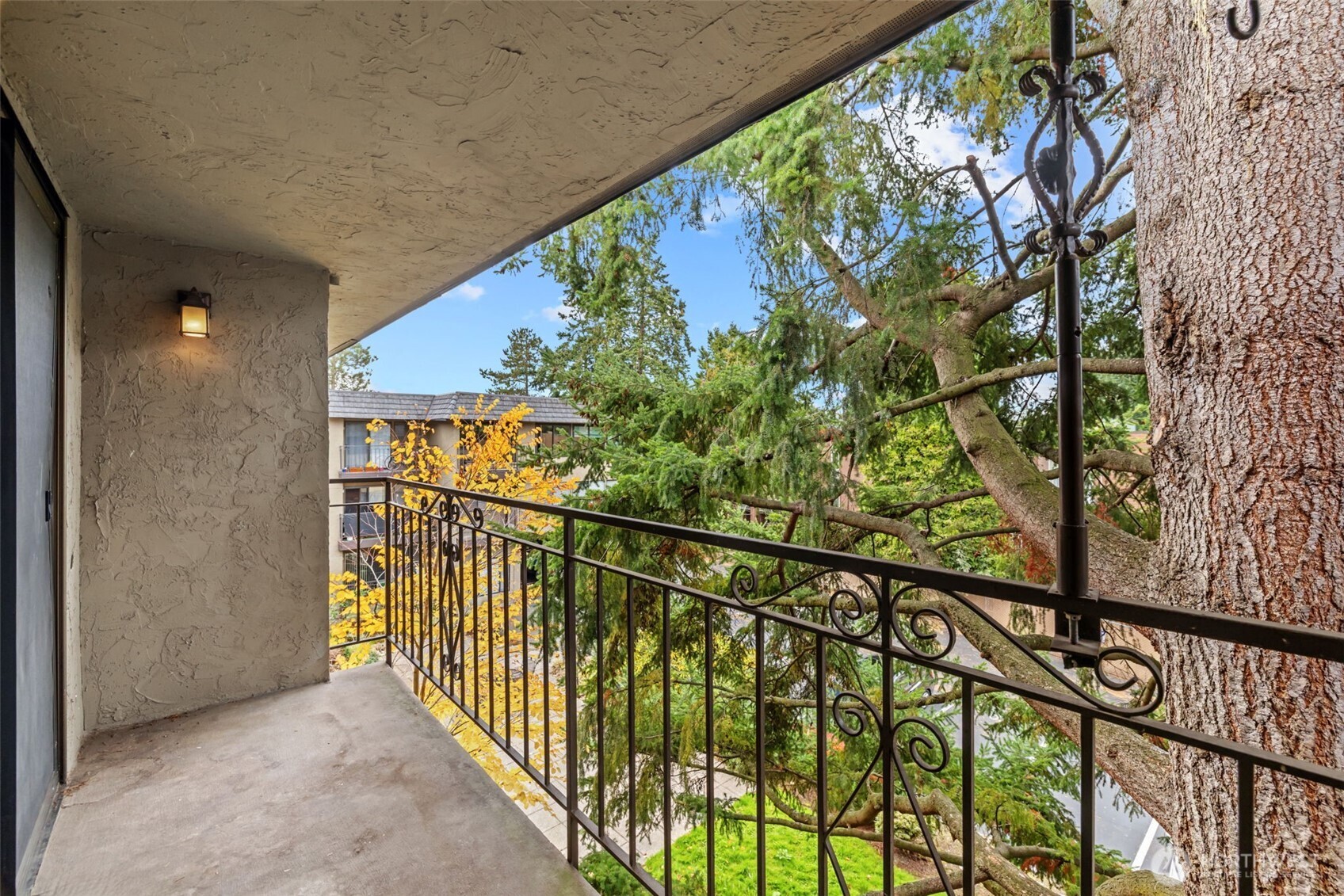 Here's a view from the corner of the deck.