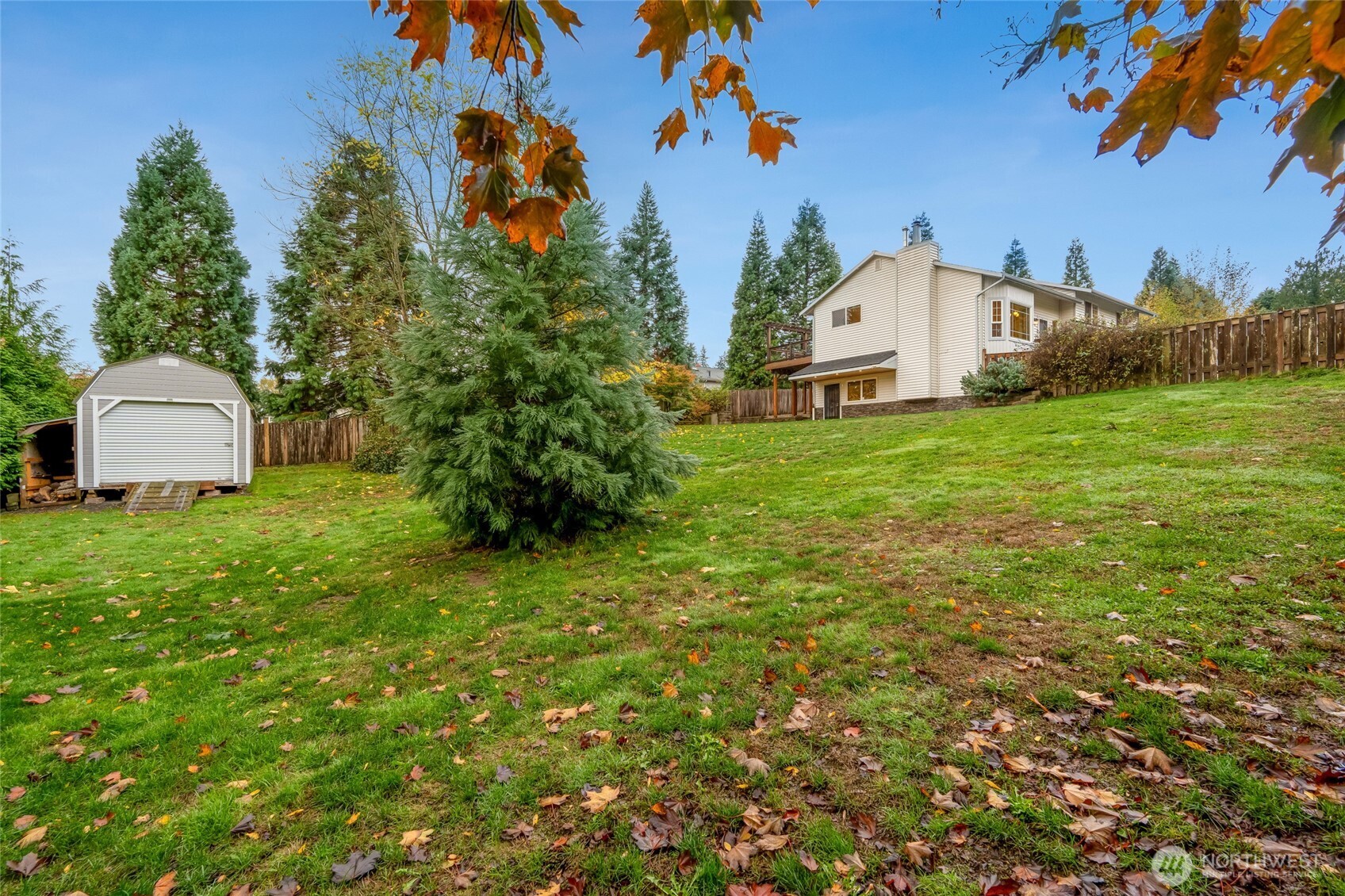 Expansive, park-like backyard with mature evergreens and plenty of open space for play or gardening. A large storage shed provides extra room for tools or outdoor gear.