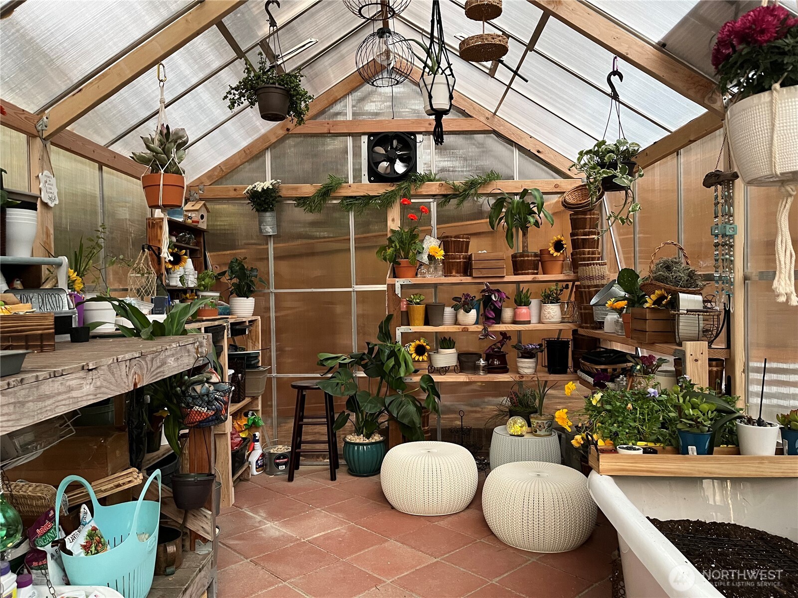 Inside view of the 10x 12 solar powered greenhouse.