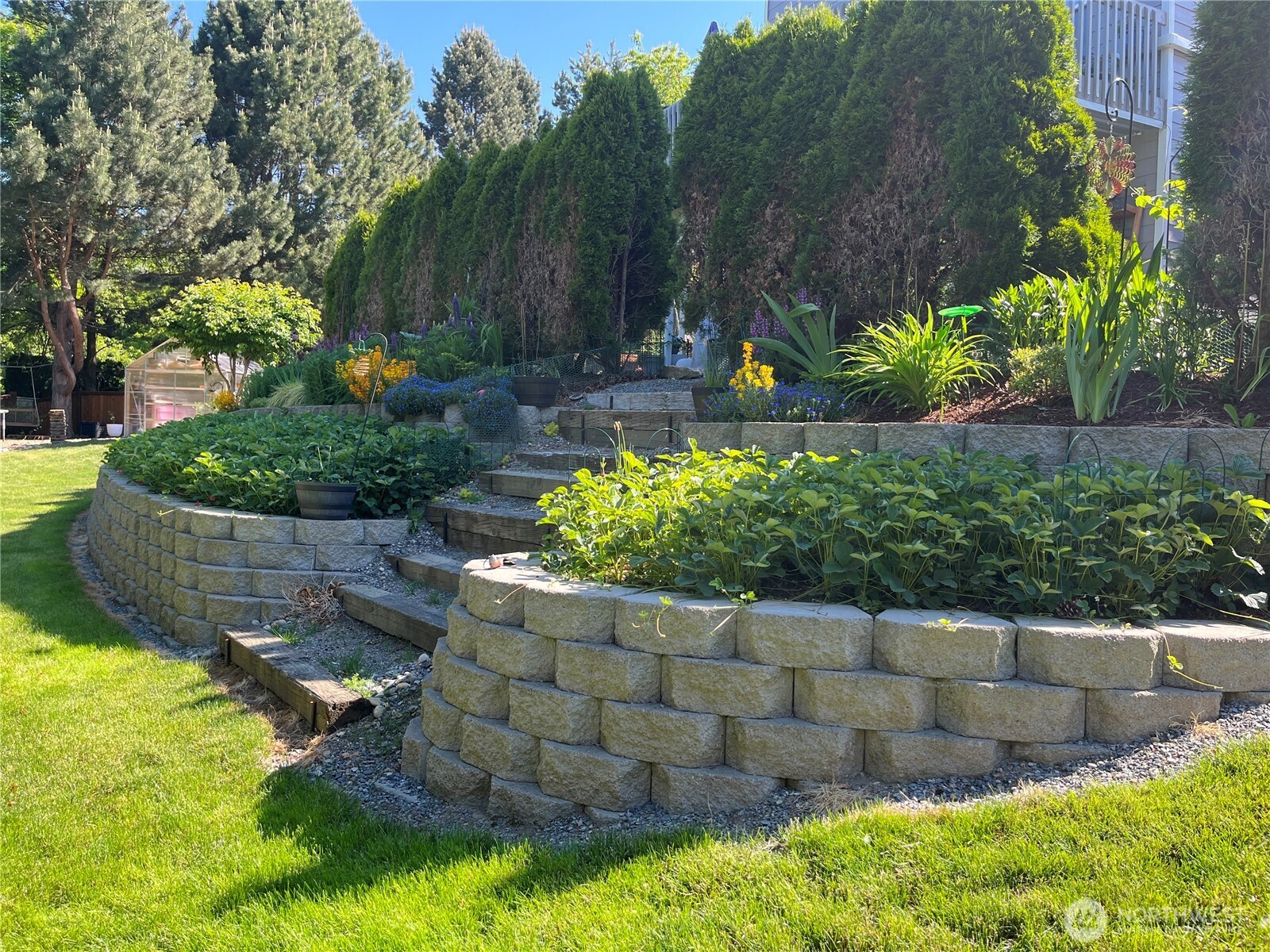 From spring, to summer, to fall, and winter - this backyard changes with the seasons.