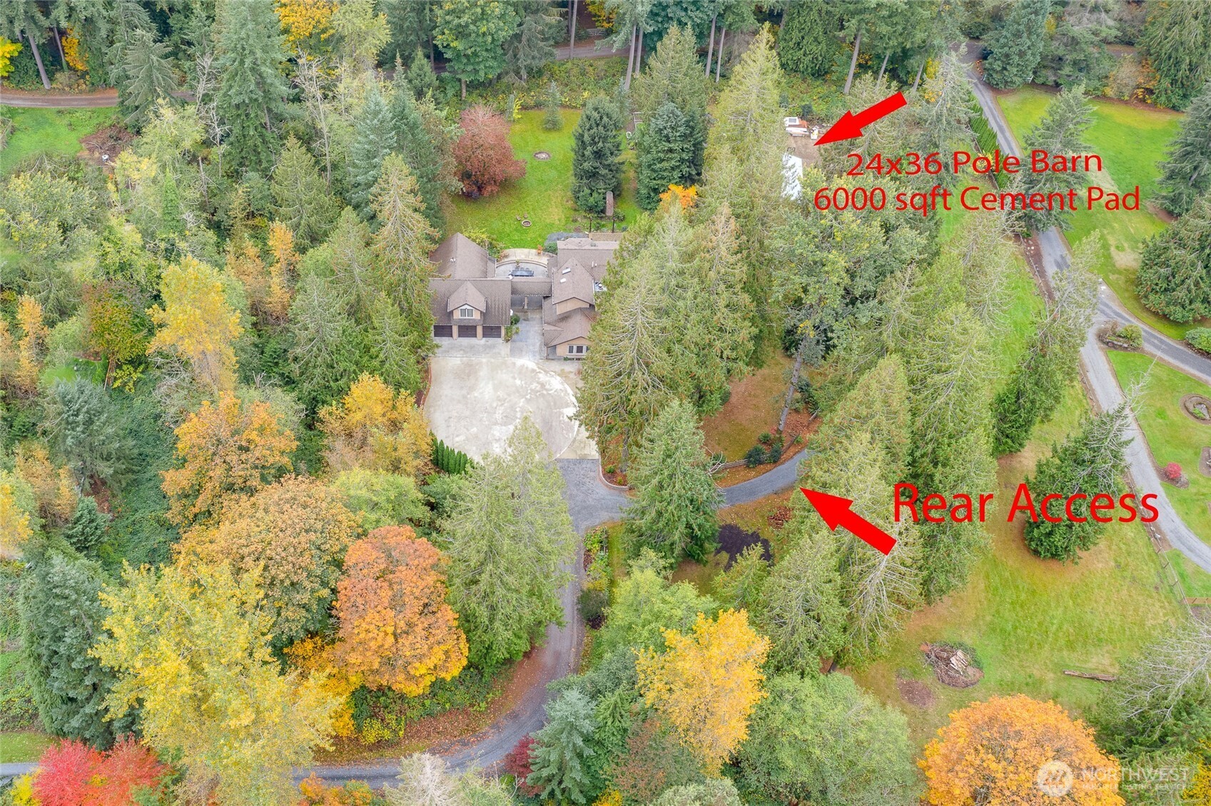 Am I really in Washington, or a Drizzling day in Italy!