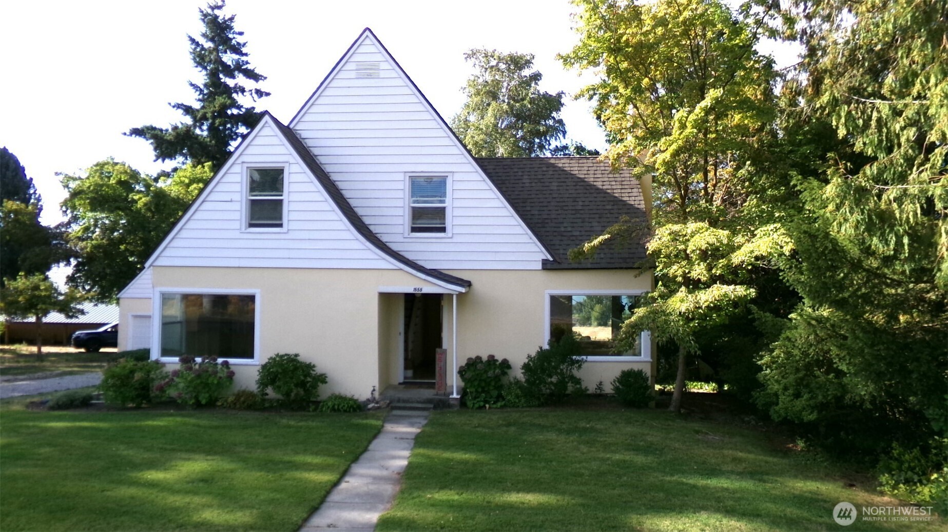 Tall timber on both sides of .5 acres