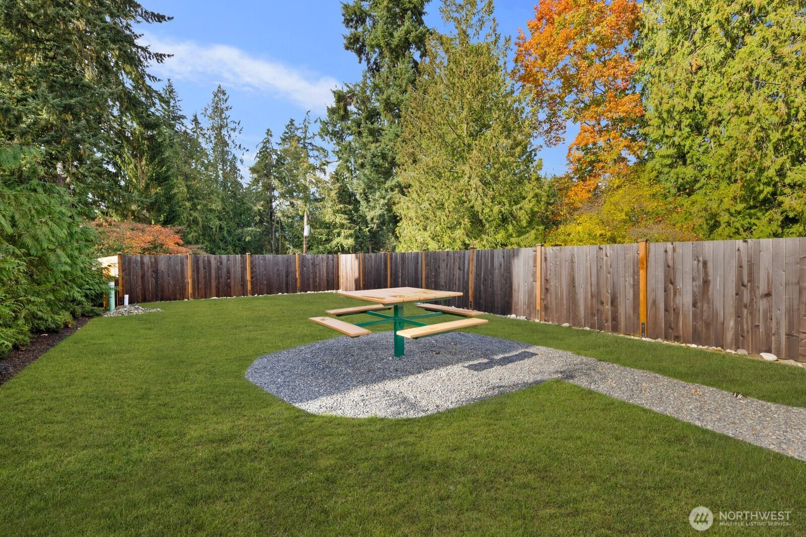 Neighborhood park - grass retouched